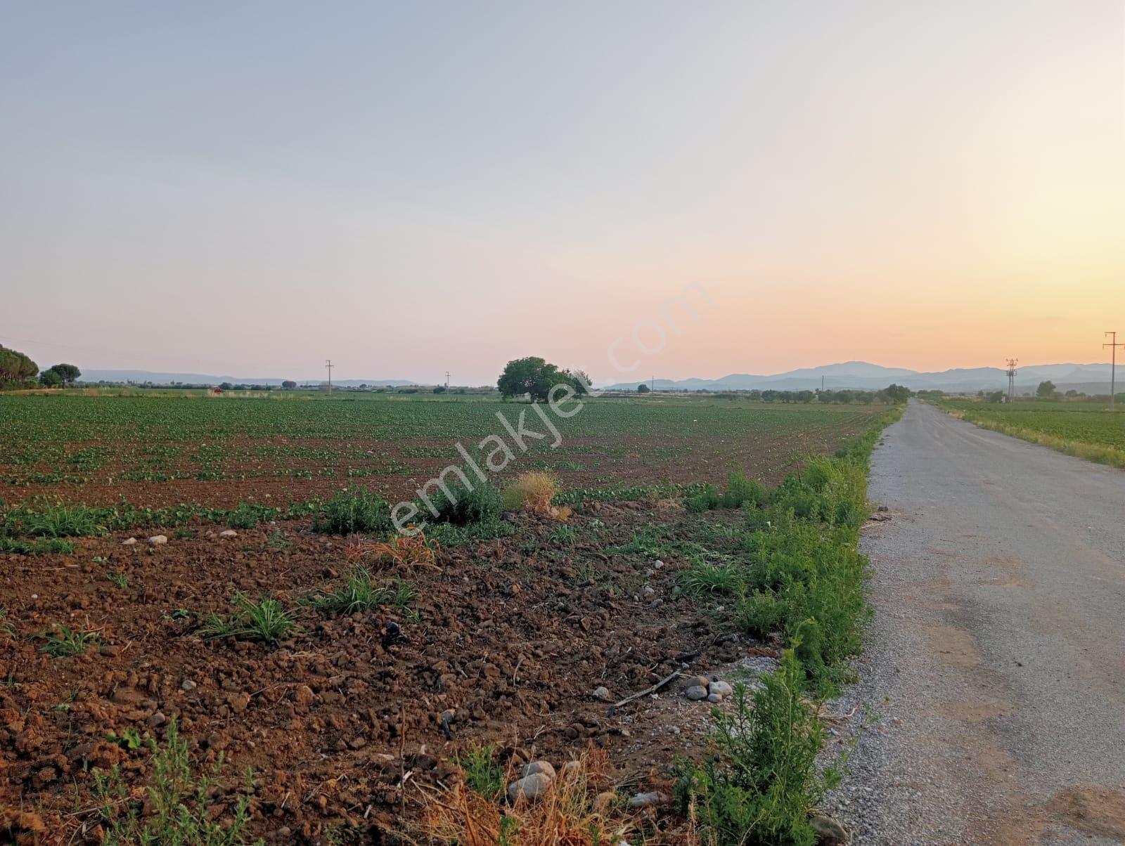 Göçbeyli'de Yola Cepheli Sontajı Bulunan 13.384 M2 Verimli Tarla - Görsel 6
