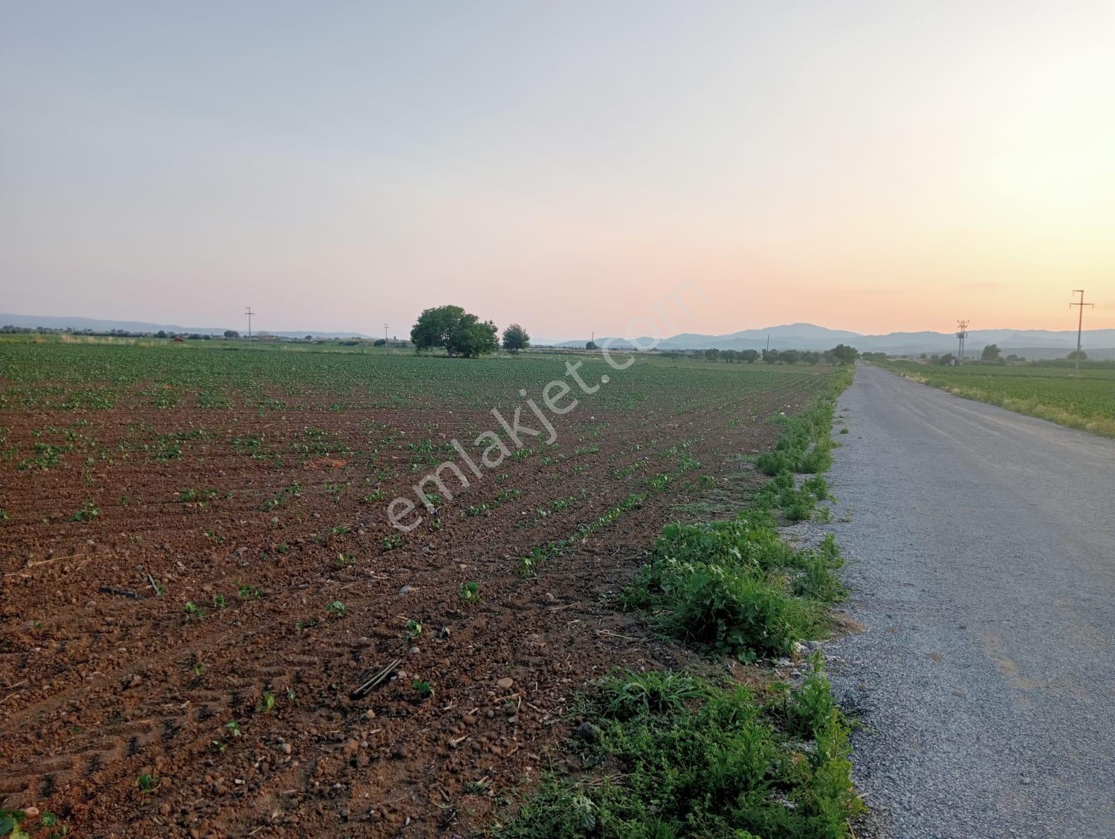 Göçbeyli'de Yola Cepheli Sontajı Bulunan 13.384 M2 Verimli Tarla - Görsel 9