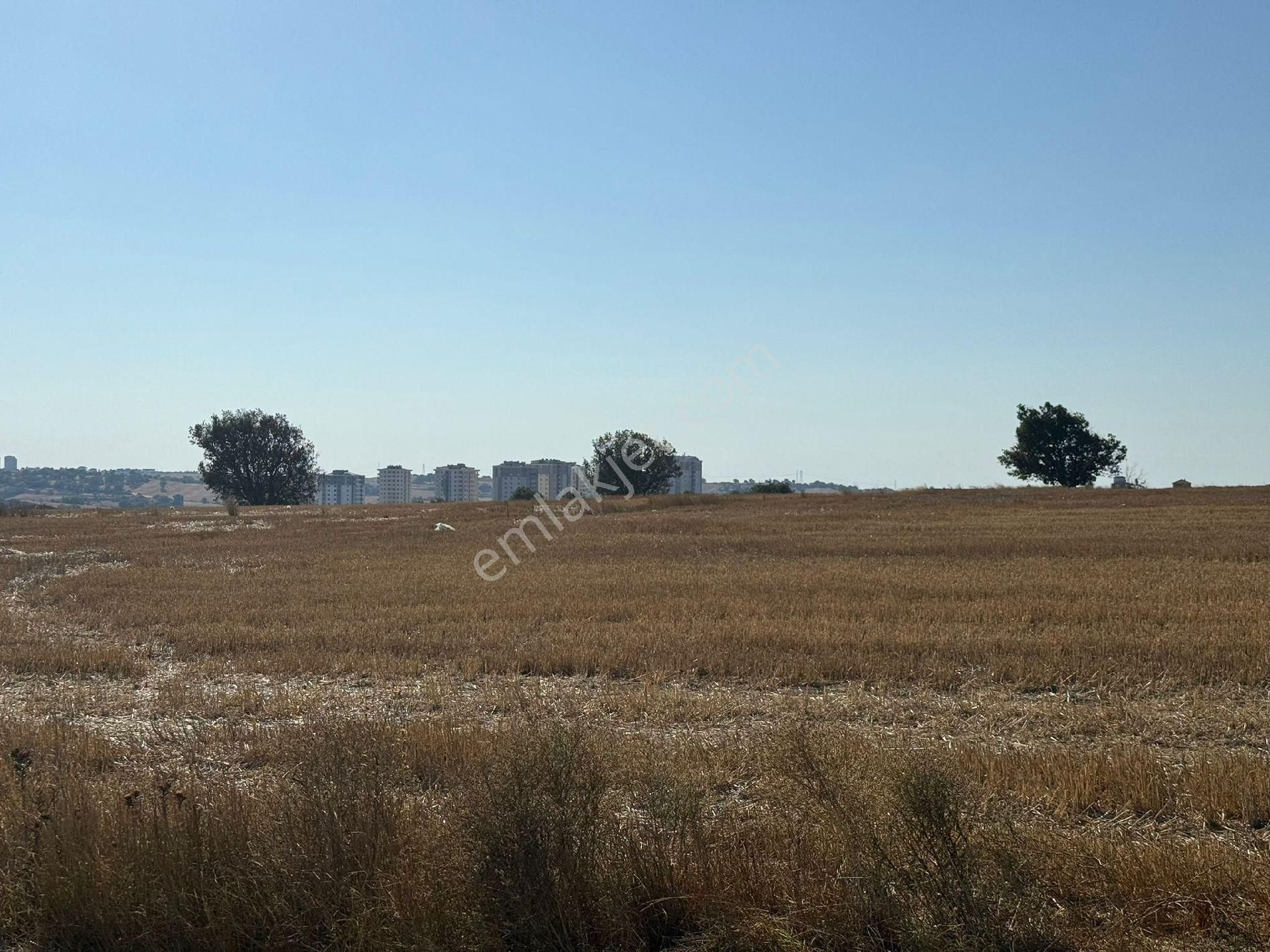 Tuşba Emlaktan Satılık Mahalle Dibinde Tarla