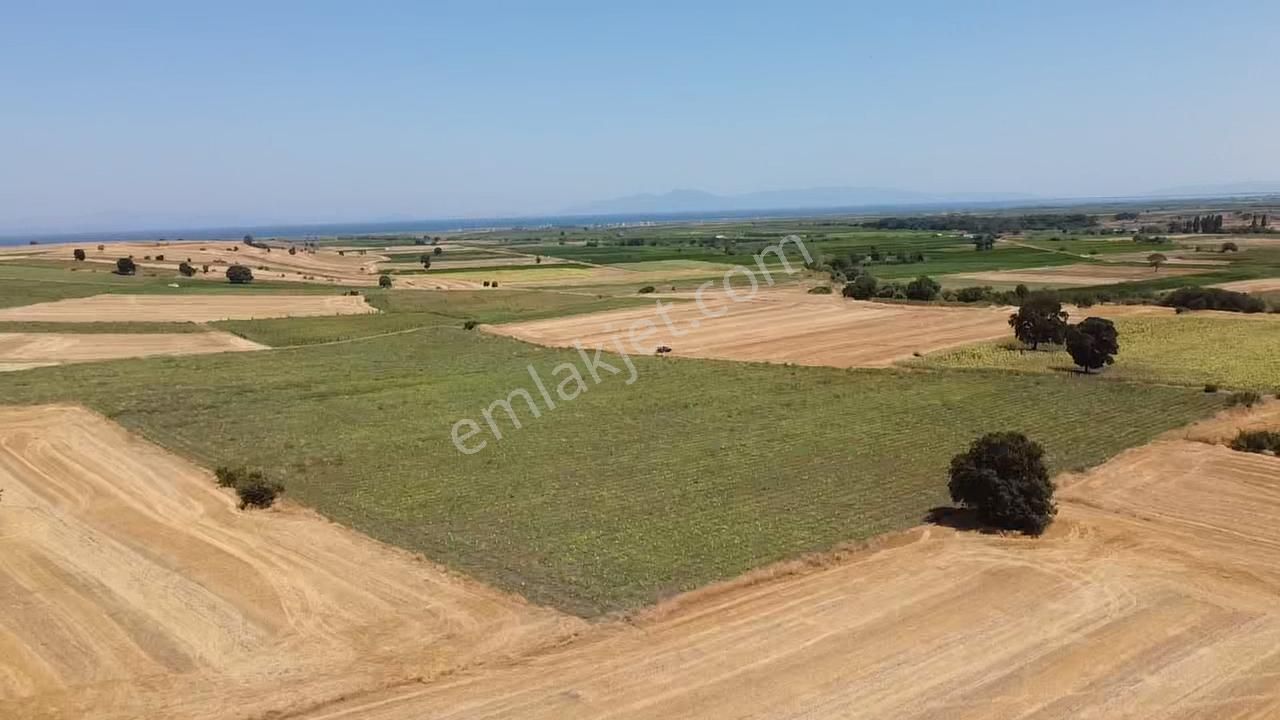 Çanakkale Biga Sinekçi Köyünde Verimi Yüksek 19.542 M2 Arazi