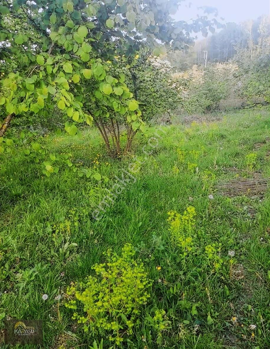 Kadınrada Uygun Tarla Fındıklık Elektırık Su Var Yol Var