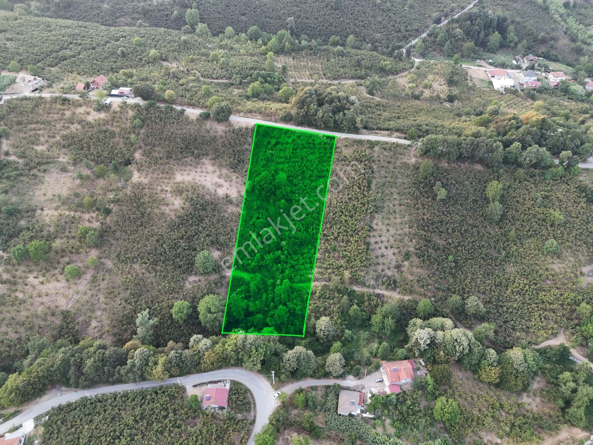 Epa Uğurdan Kaynaşlı Fındıklıda Satılık 5900 M² Fındıklık Arsa
