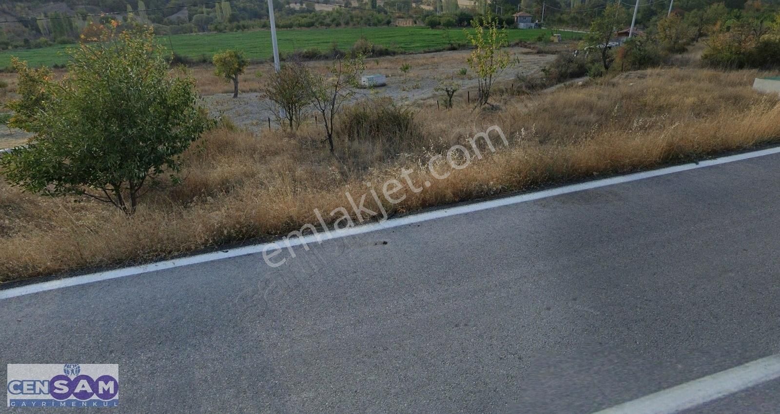 Kütahya Şaphane 5.850 M2 İlçe Merkezine Yakın Otoyol Kenarıarazi