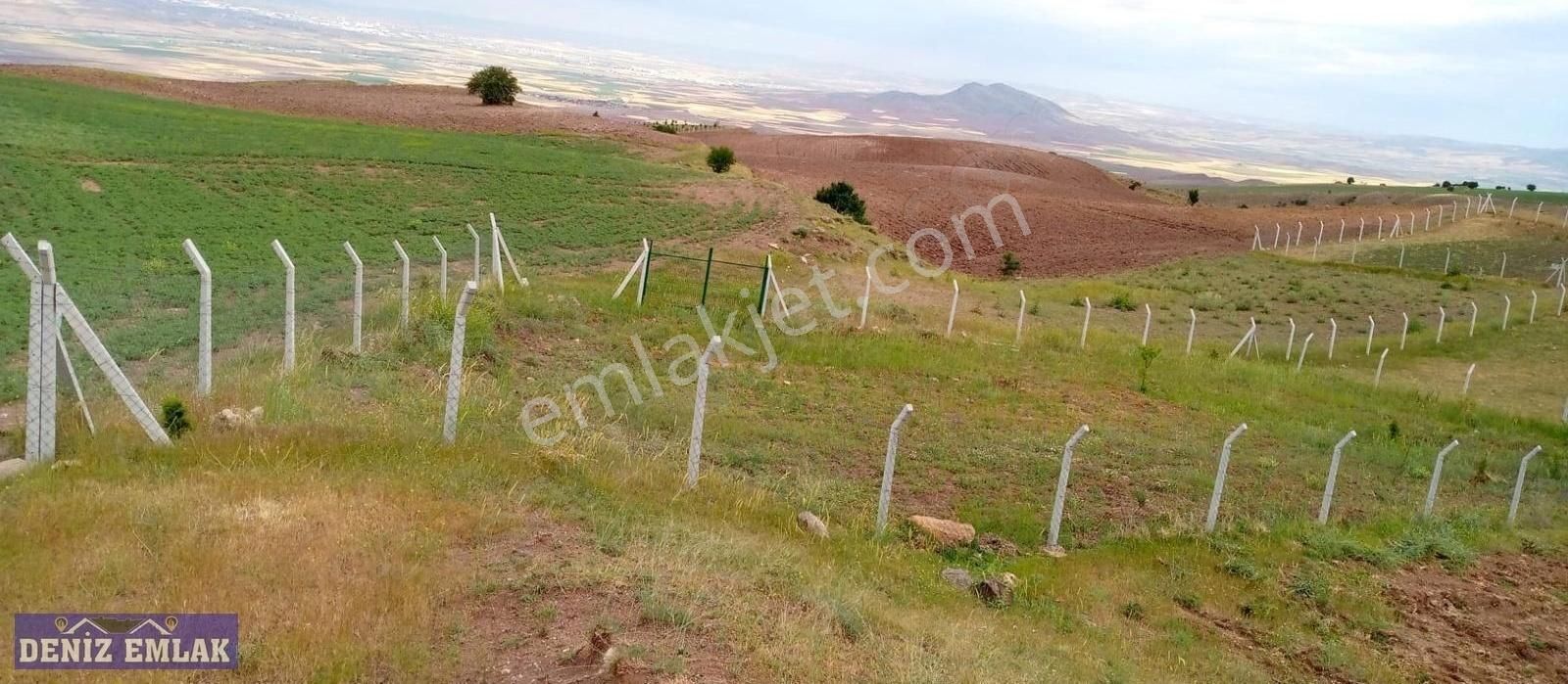 *ayaş Göklerde Etrafı Çevrili Hisse Tapulu 737m2 Fırsat Bahçe*