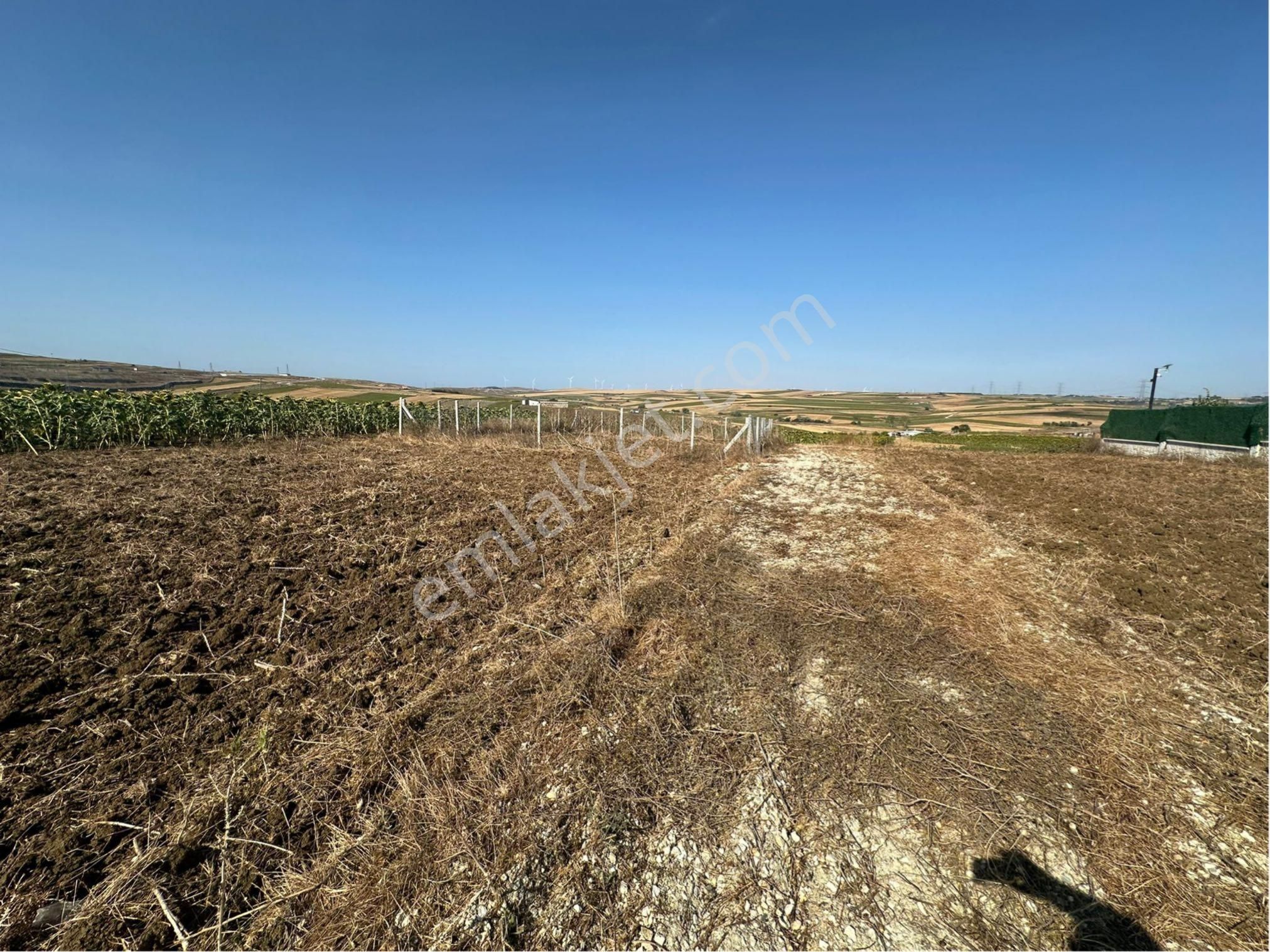 Çatalca Elbasan Da Satılık 250 Metre² Arsa Elektrik Suyu Var - Görsel 9