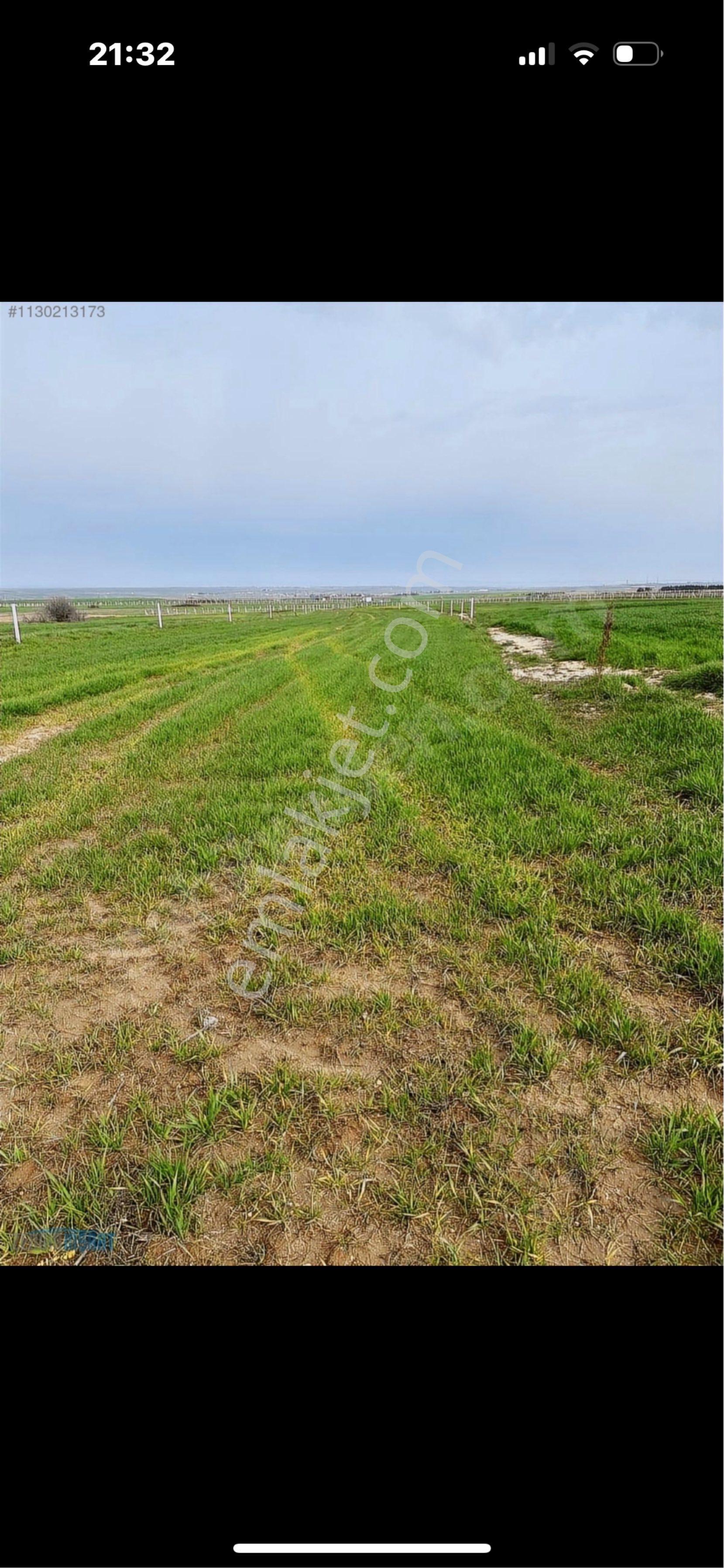 Tekirdağ Saray Bahçe Dere‘de Satılık 317 Metre Arsa - Görsel 15