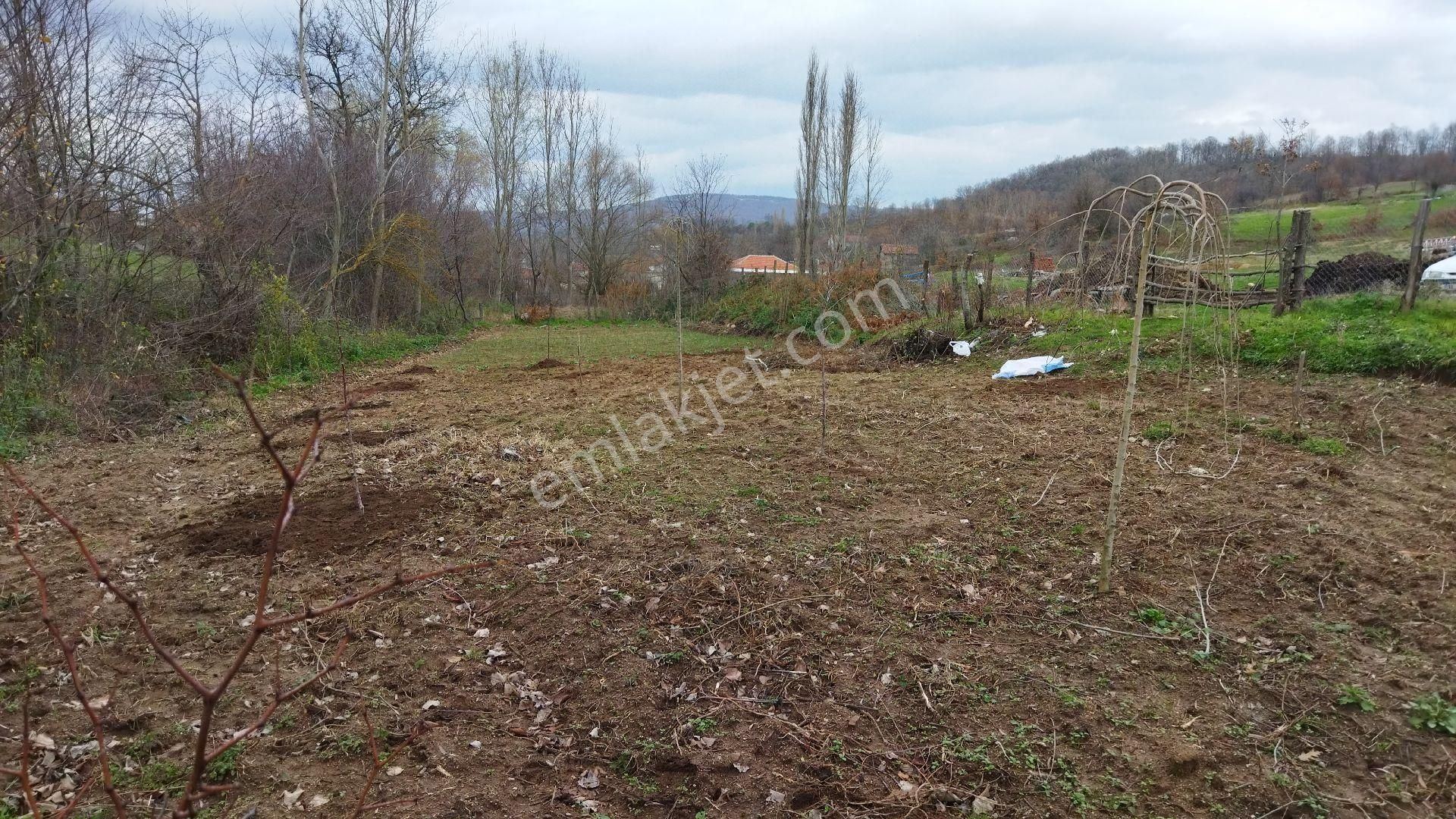 Sahibinden Satılık Mükemmel Arsa - Görsel 3