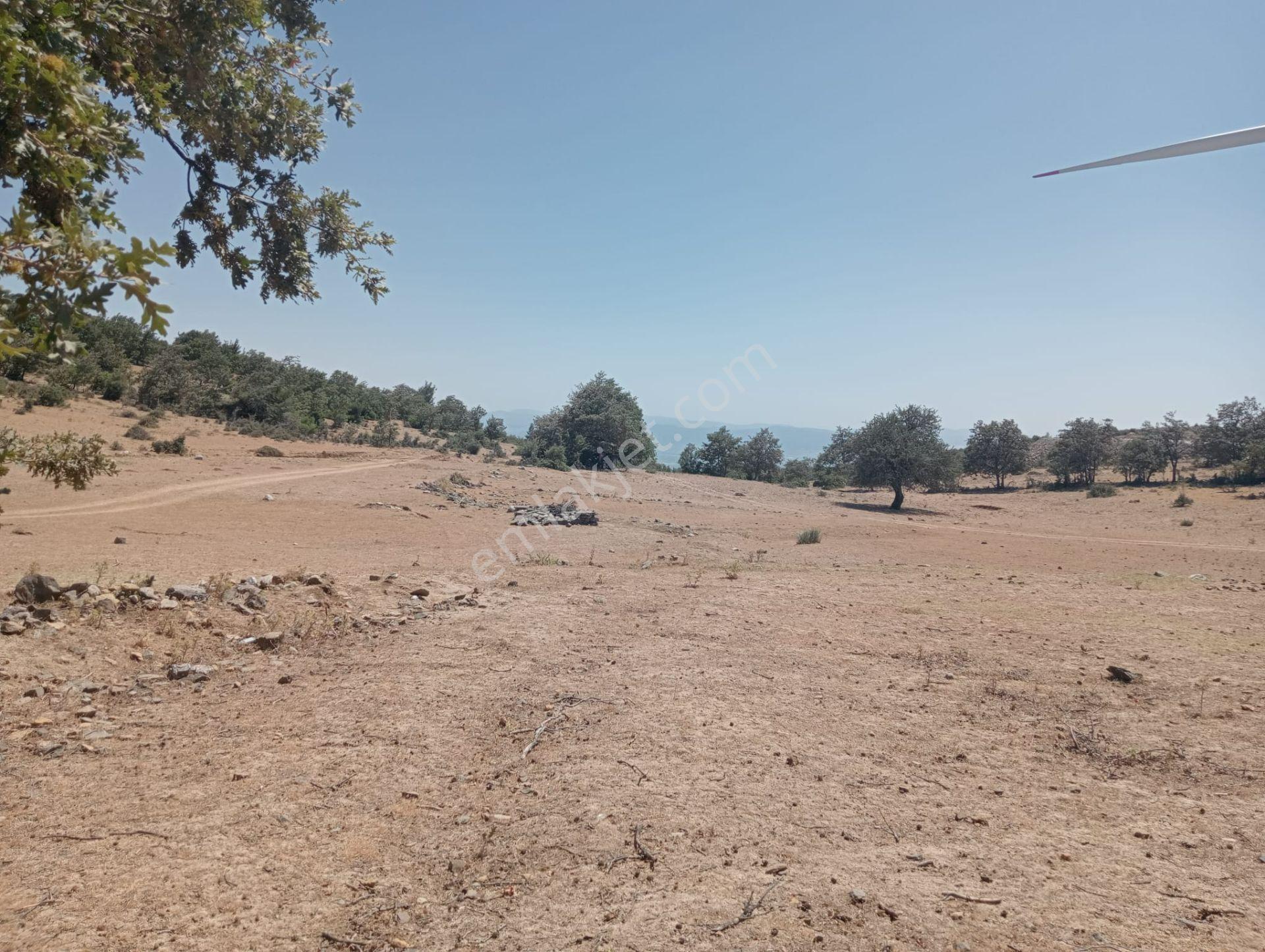 Komutanemlak'dan Çamoba Yaylasında 1910 M2 Tarla - Görsel 23