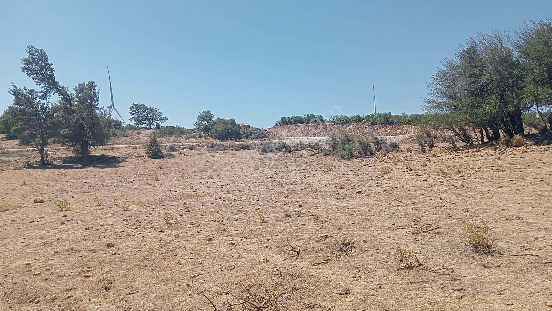 Komutanemlak'dan Çamoba Yaylasında 1910 M2 Tarla - Görsel 16