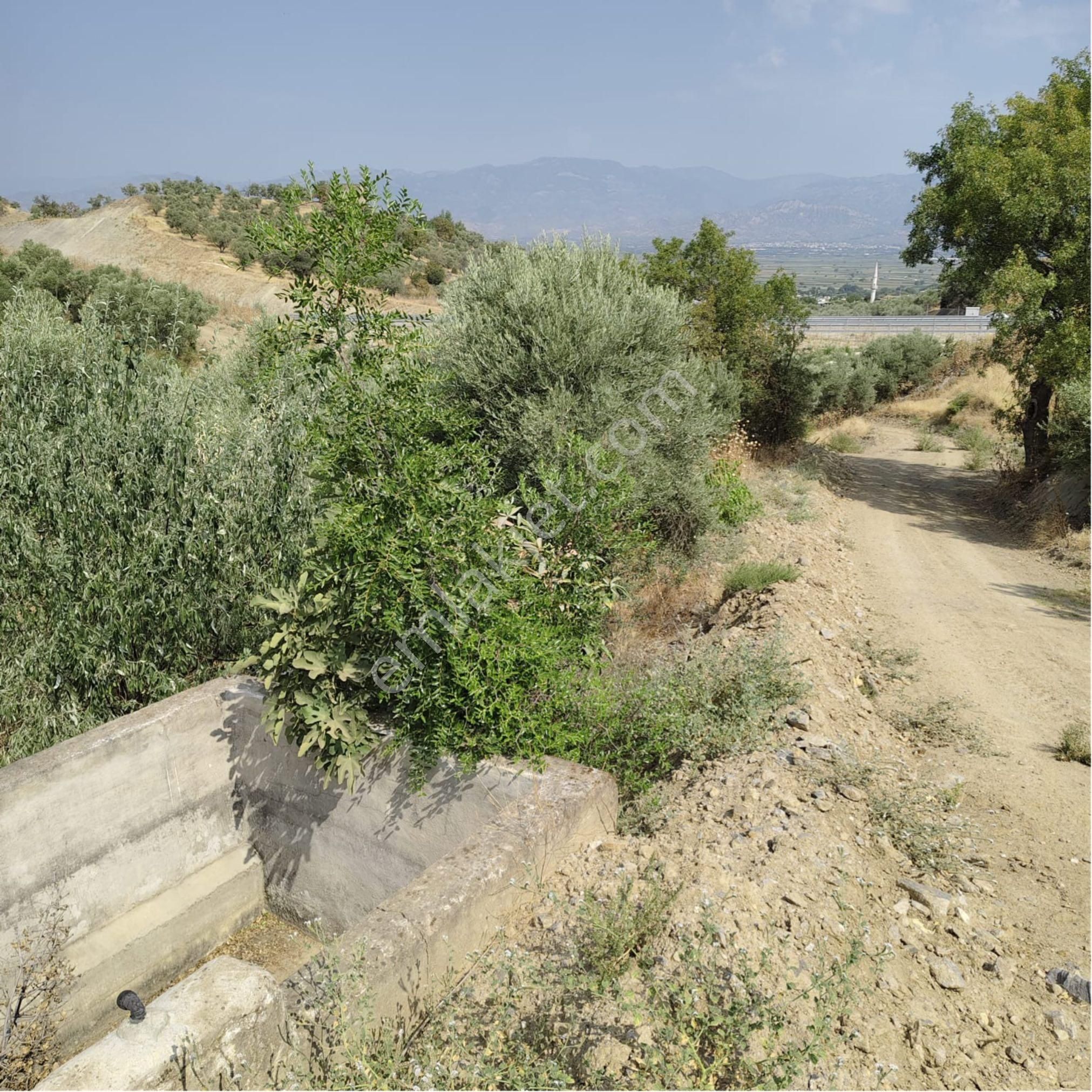 🌿 Nazilli Ve Yenipazar’a Yakın Konumda – Donduran Köyünde Fırsat Arazi! 📍 - Görsel 21