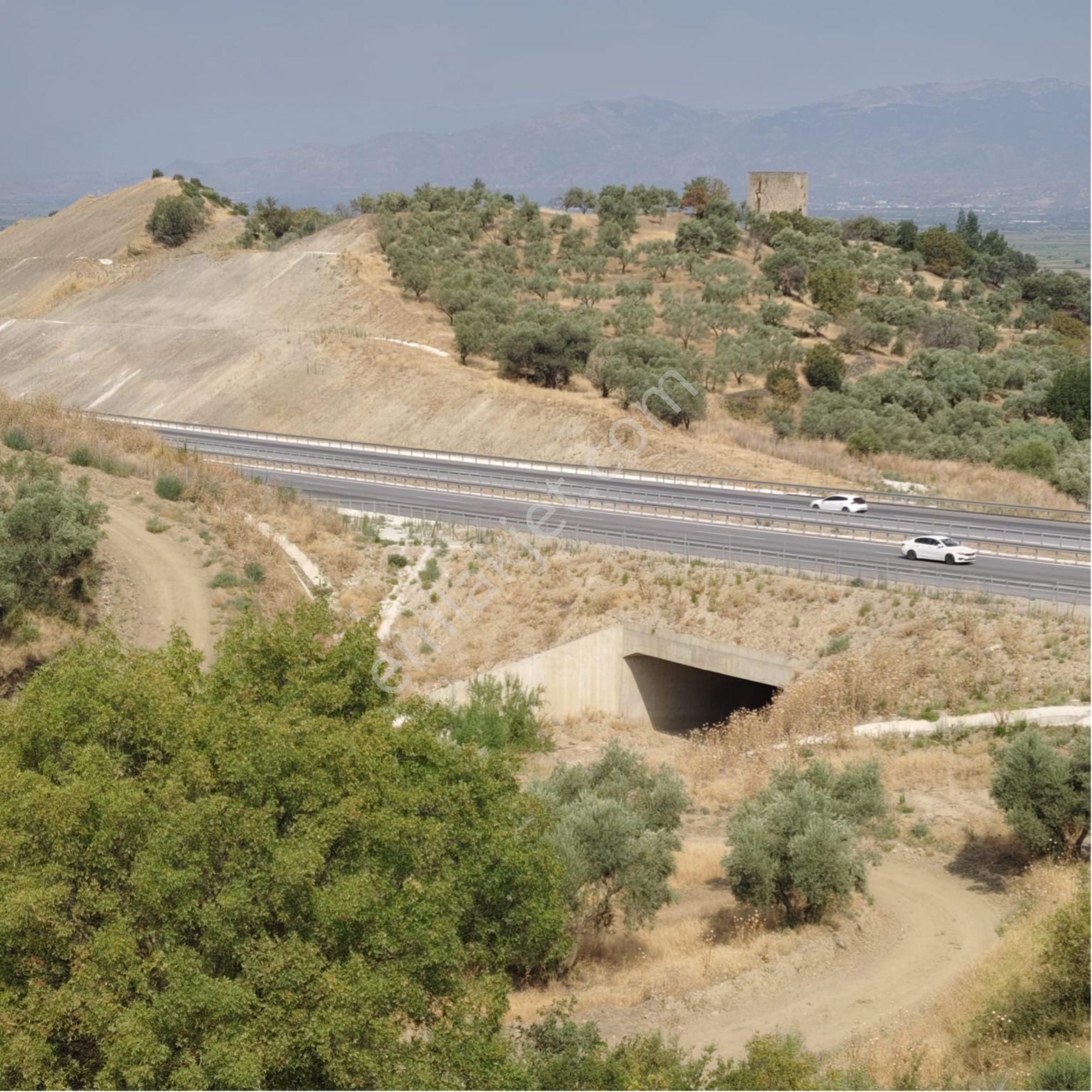 🌿 Nazilli Ve Yenipazar’a Yakın Konumda – Donduran Köyünde Fırsat Arazi! 📍 - Görsel 3