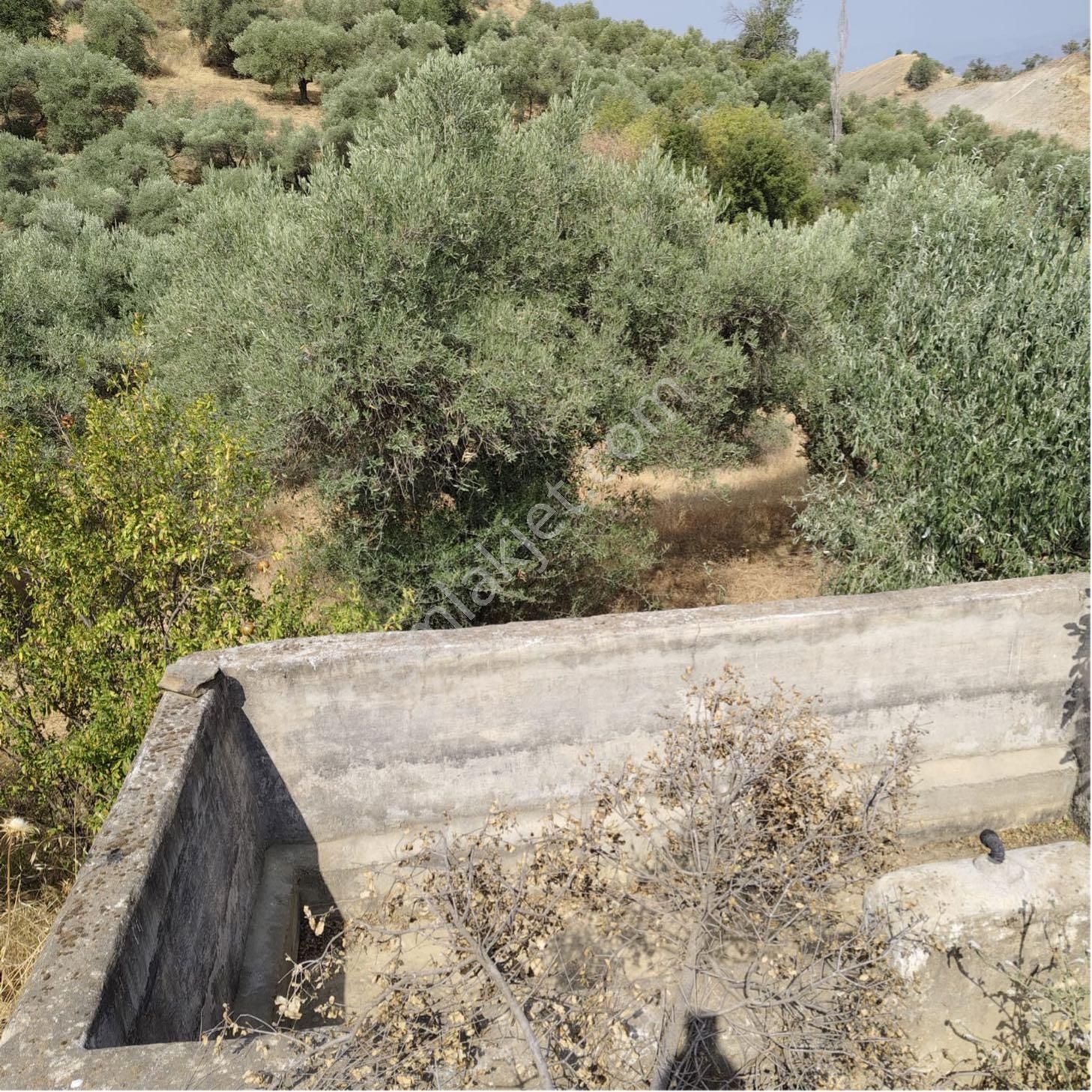 🌿 Nazilli Ve Yenipazar’a Yakın Konumda – Donduran Köyünde Fırsat Arazi! 📍 - Görsel 23