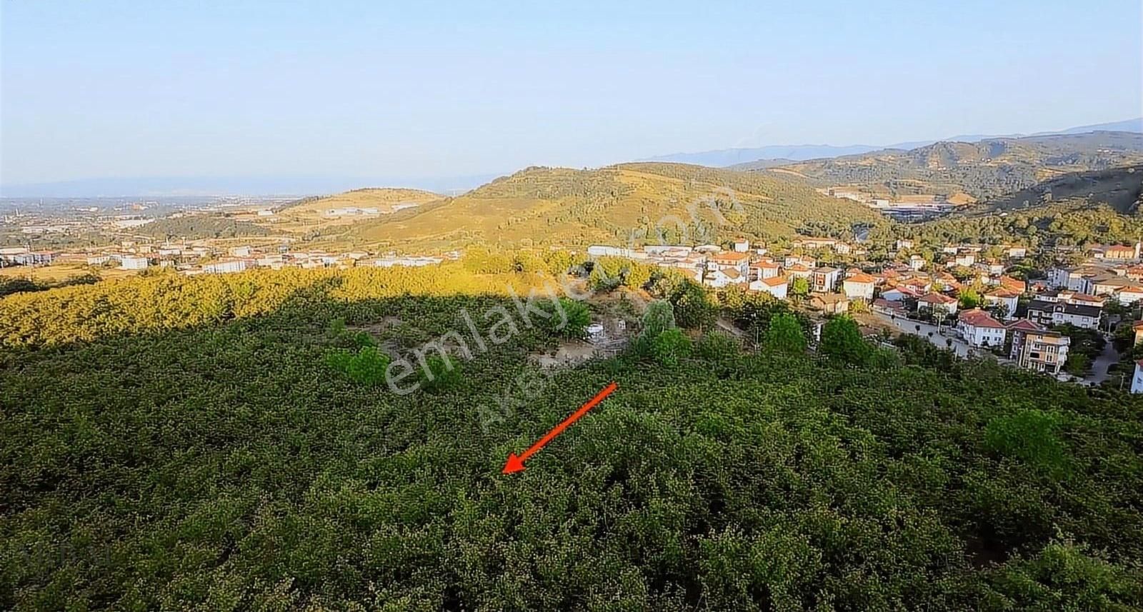 Gümüşova Kışla Mh'de Mükemmel Manzarasıyla Satılık 649 M² Arsa