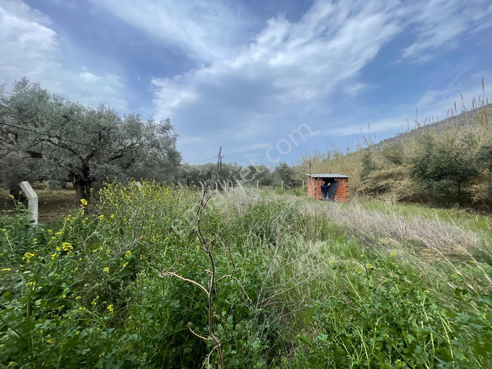 Yatırım Fırsatı!!!kuşadası'nda Gelişen Bölgede 648 M² Tarla...