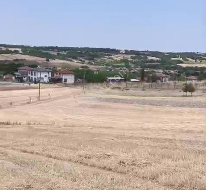 Kırklareli Lüleburgaz Kırıköy İmarlı İfrazlı Müstakil Tek Tapu Kelepir Arsa