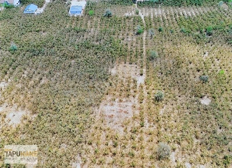 Tapuhane'den Kazimiye Mahallesindeki 4,658 M2 Arsamız Satılıktır - Görsel 4