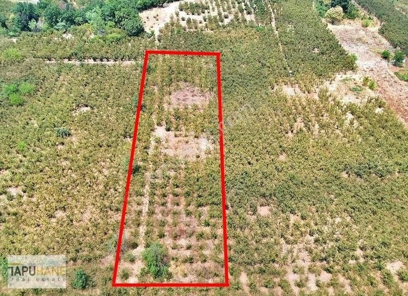 Tapuhane'den Kazimiye Mahallesindeki 4,658 M2 Arsamız Satılıktır - Görsel 3