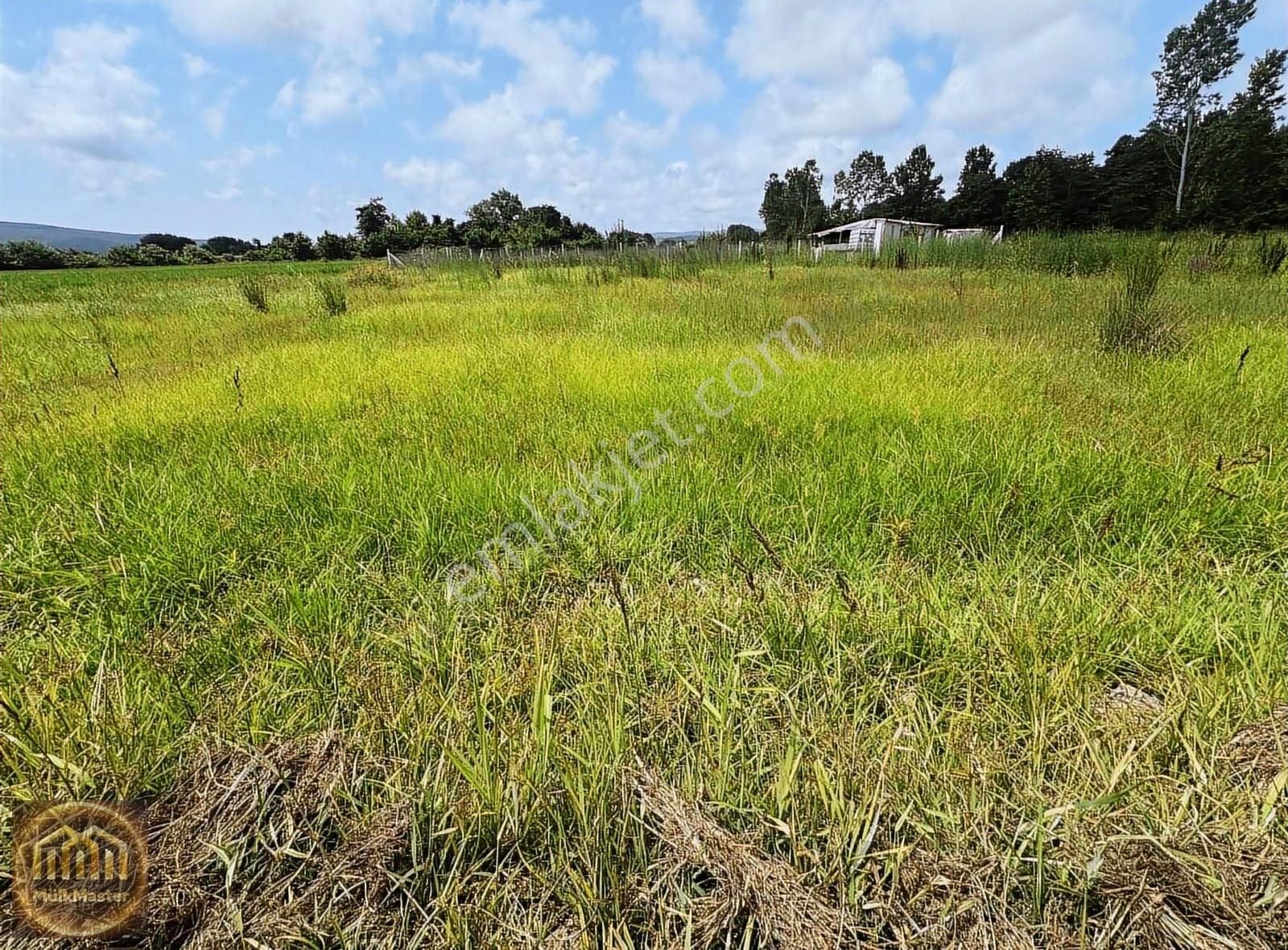 Çatalca Karacaköy Satılık 400 Metre² Tarladan Hisse Çapı Var - Görsel 6