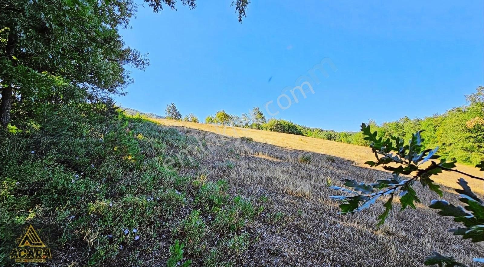 Acaradan /iznik Elmalı'da 11.372 M² İmarlı_bölünebilir Arsa - Görsel 17