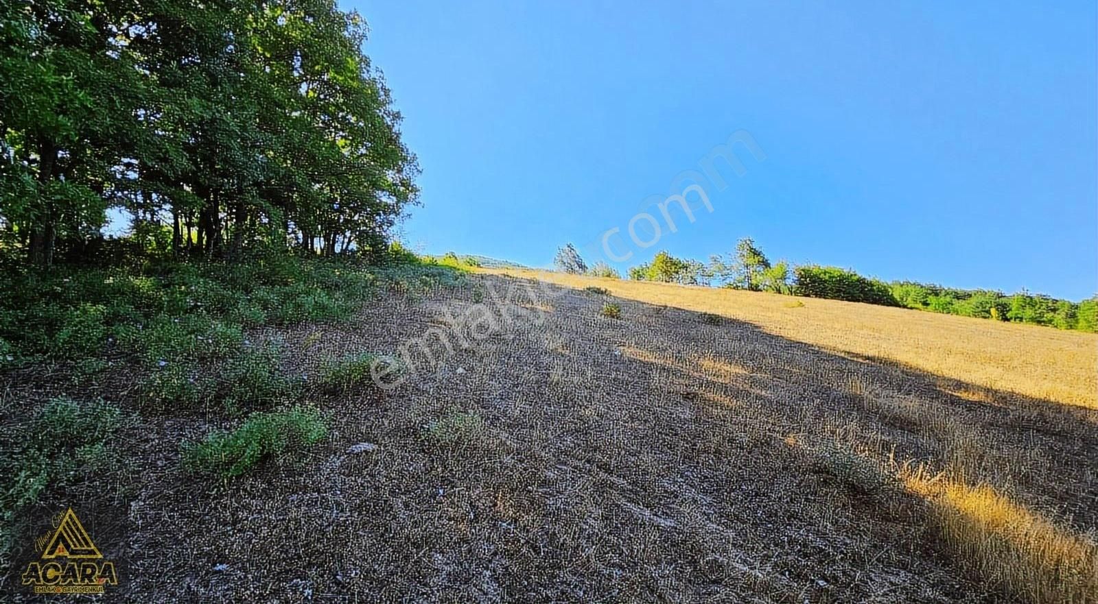 Acaradan /iznik Elmalı'da 11.372 M² İmarlı_bölünebilir Arsa - Görsel 13