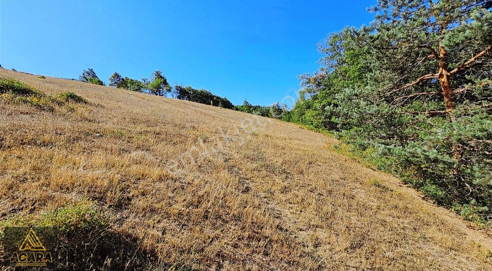 Acaradan /iznik Elmalı'da 11.372 M² İmarlı_bölünebilir Arsa - Görsel 9