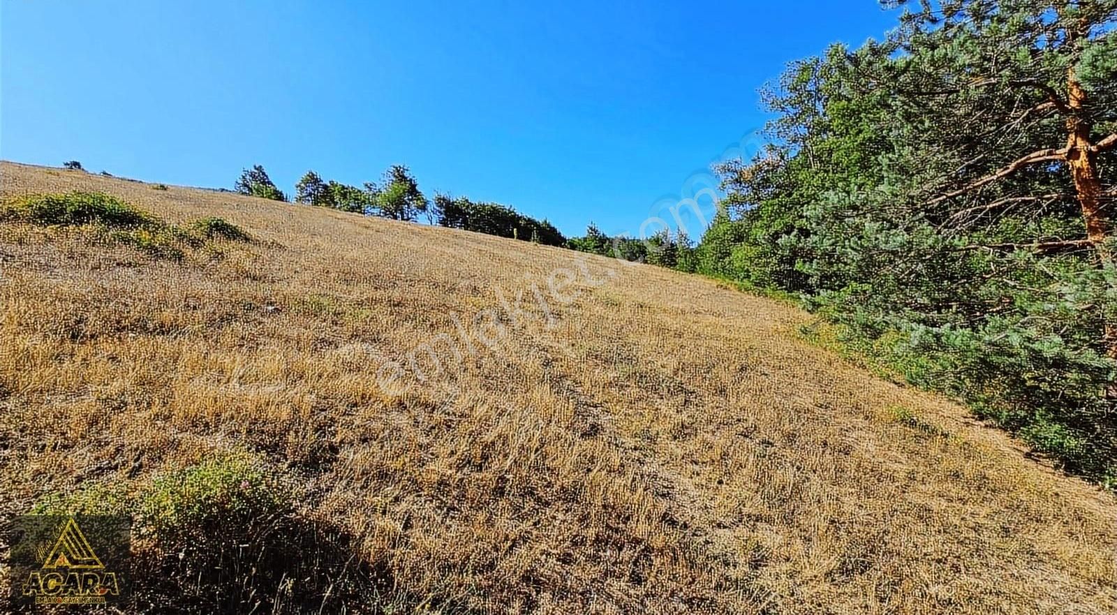 Acaradan /iznik Elmalı'da 11.372 M² İmarlı_bölünebilir Arsa - Görsel 10