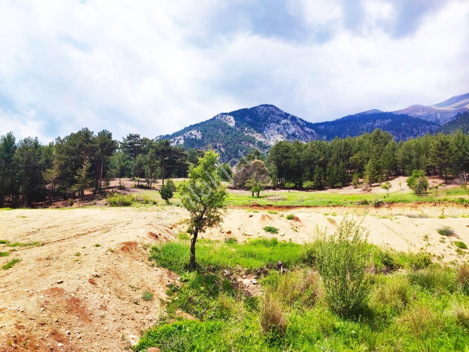 Pozantı Kar Emlaktan Yeni Konacık Efes Sitesinin Yanında 400 M2 Arsa