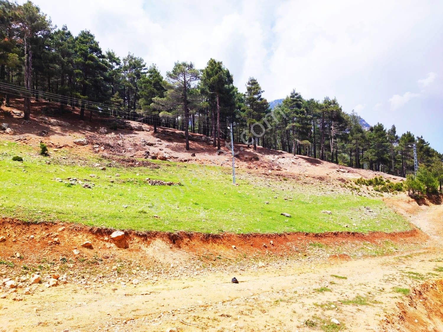 Pozantı Kar Emlaktan Yeni Konacık Bozkırlı Mevkiinde 425 M2 Arsa - Görsel 27