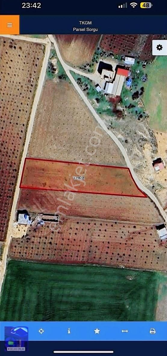 Belkıs Emlak Kürümde İki Tarafı Yol Üzerinde Satılık 4.859m2