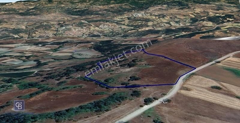 Cb King'den Kadastral Yolu Olan Satılık 20 Dönüm Tarla