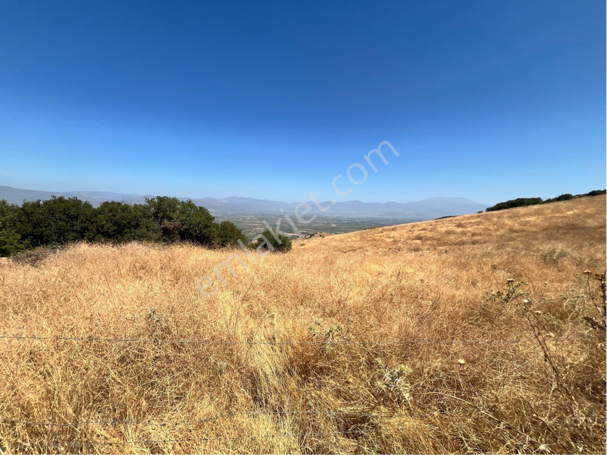 Tire Satılık Tarla Yeğenli Köyü 26.000 M2 Tek Tapu - Görsel 4