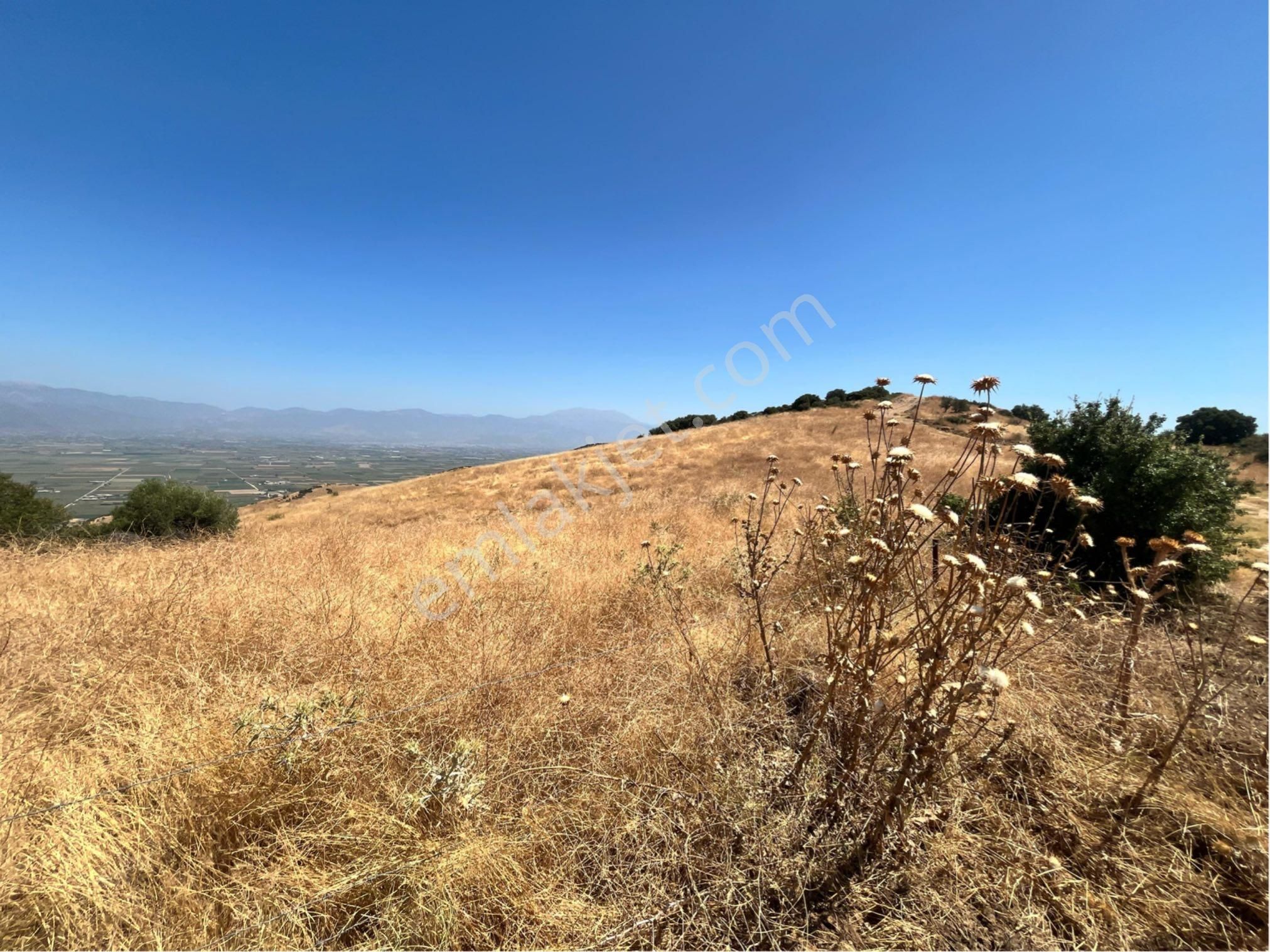 Tire Satılık Tarla Yeğenli Köyü 26.000 M2 Tek Tapu - Görsel 5