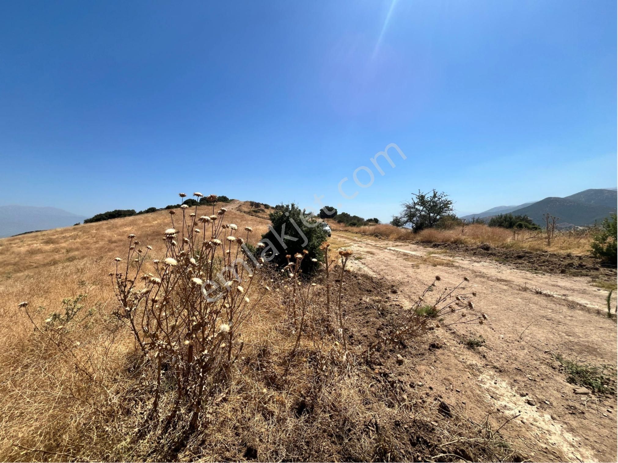 Tire Satılık Tarla Yeğenli Köyü 26.000 M2 Tek Tapu - Görsel 3