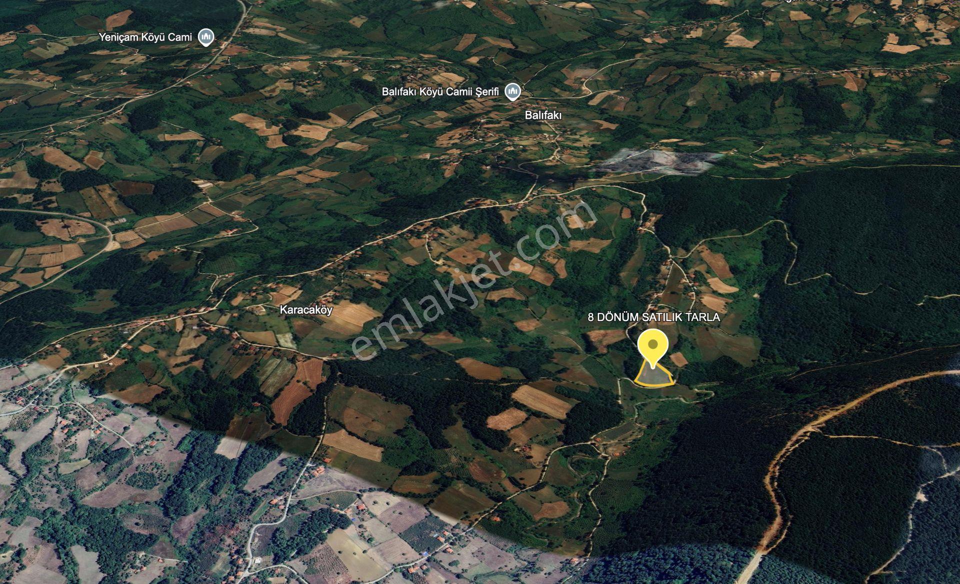 Sinop,balıfakı'da 8 Dönüm Satılık Tarla - Görsel 25