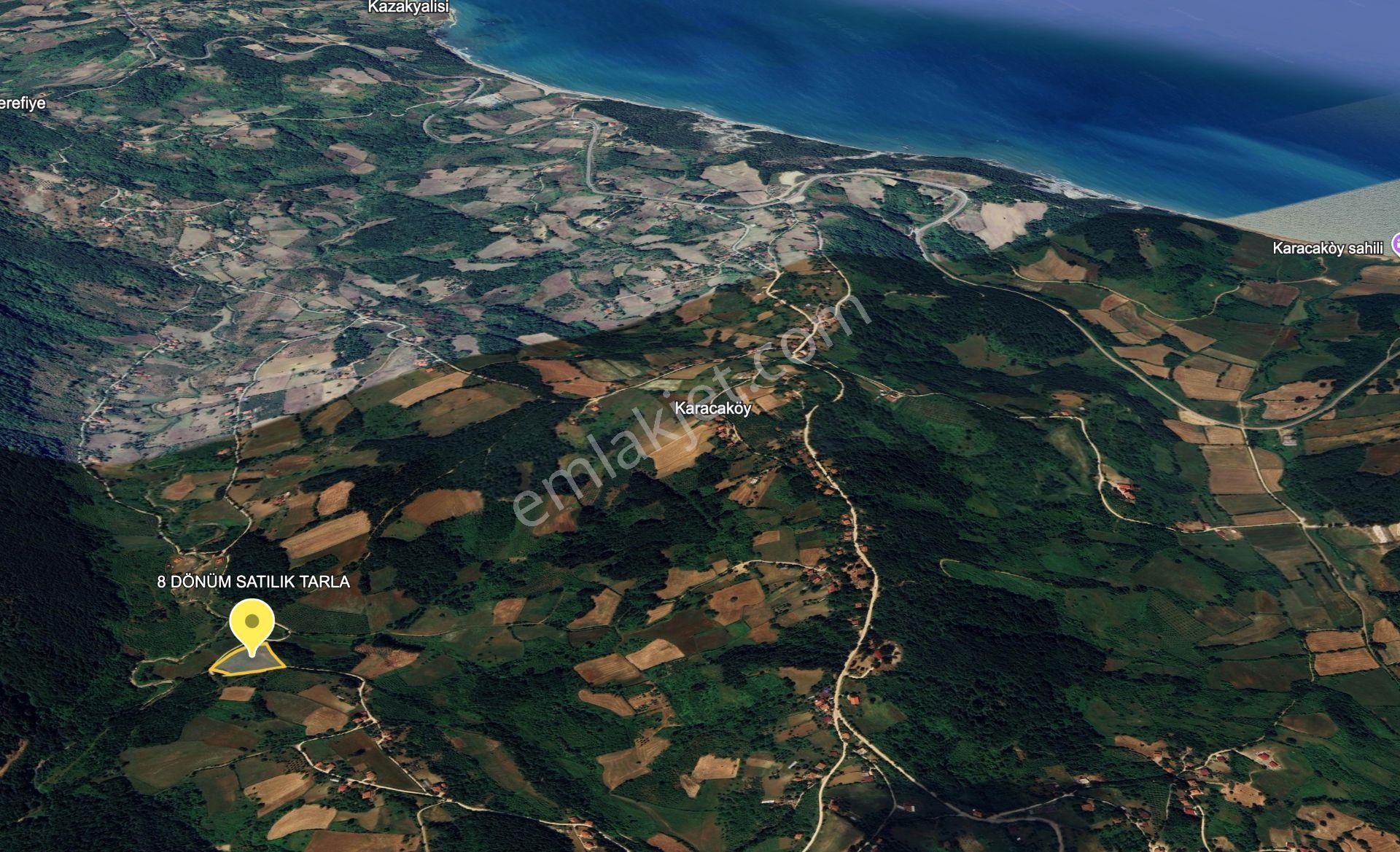 Sinop,balıfakı'da 8 Dönüm Satılık Tarla - Görsel 23
