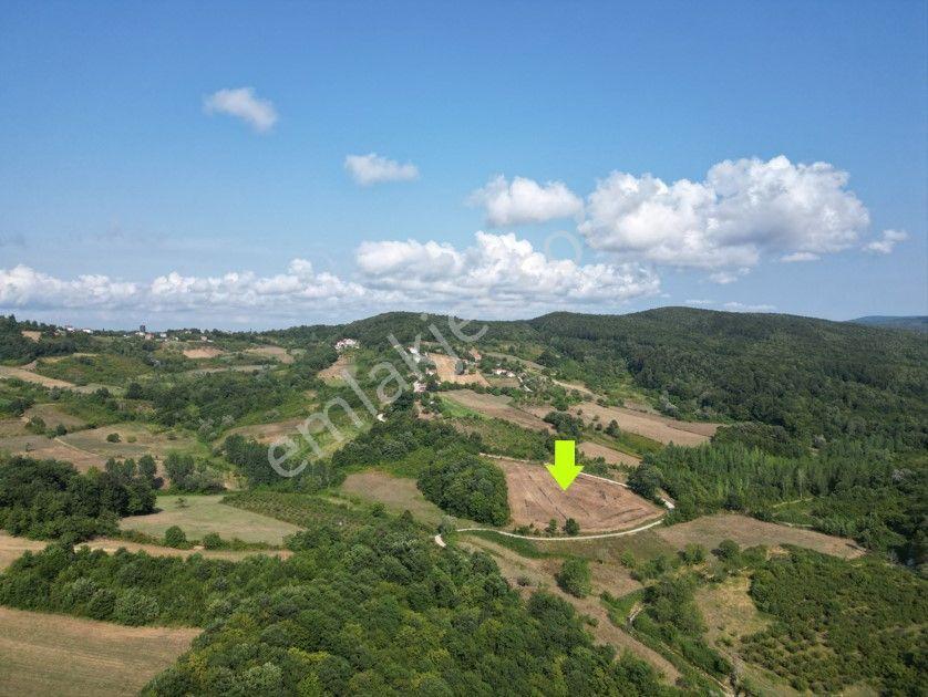 Sinop,balıfakı'da 8 Dönüm Satılık Tarla - Görsel 5