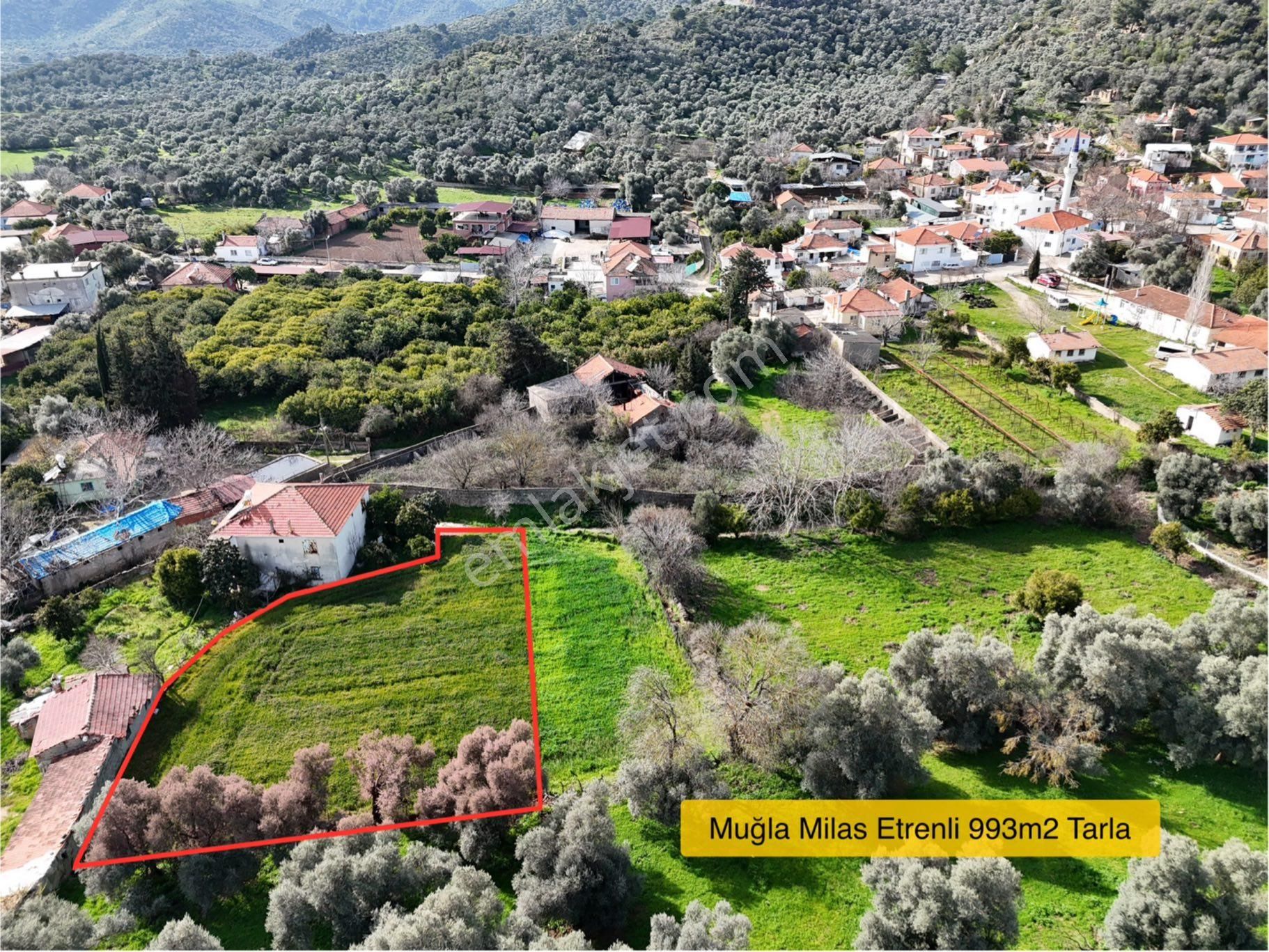 Milas Etrenli Mahallesinde Villa Konut İmarlı Arsa Pehlevanlar'dan - Görsel 27
