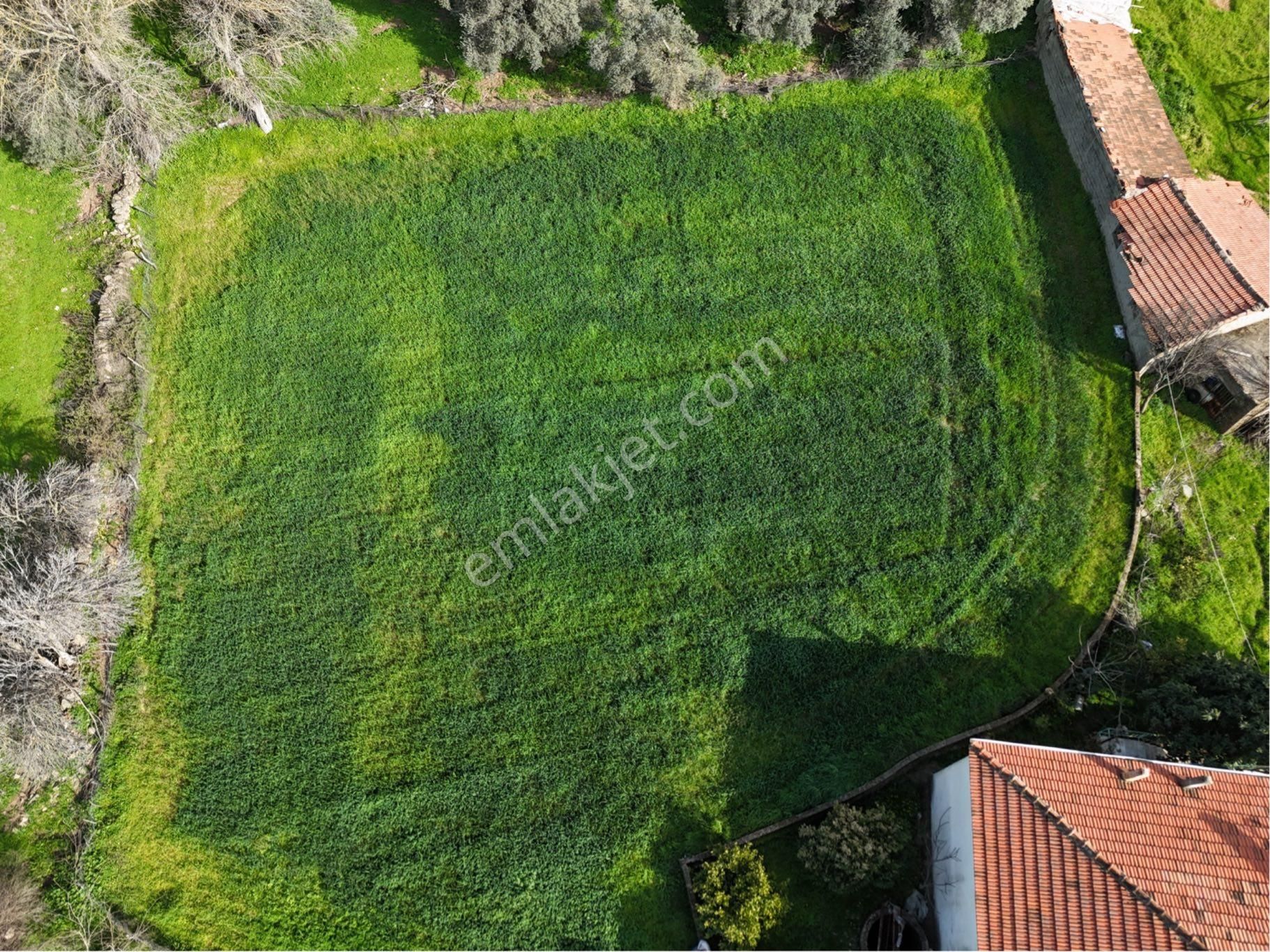 Milas Etrenli Mahallesinde Villa Konut İmarlı Arsa Pehlevanlar'dan - Görsel 32