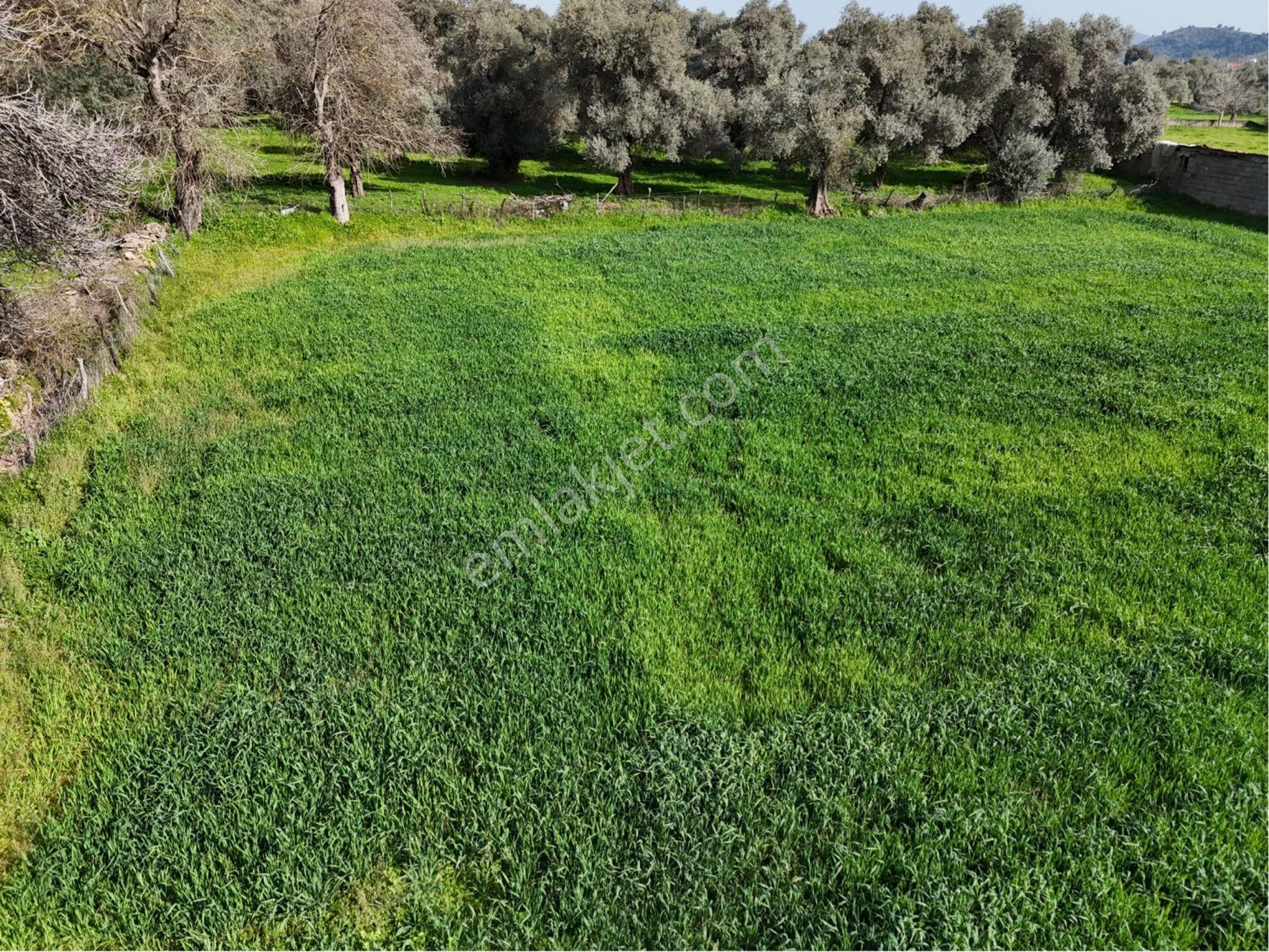 Milas Etrenli Mahallesinde Villa Konut İmarlı Arsa Pehlevanlar'dan - Görsel 14