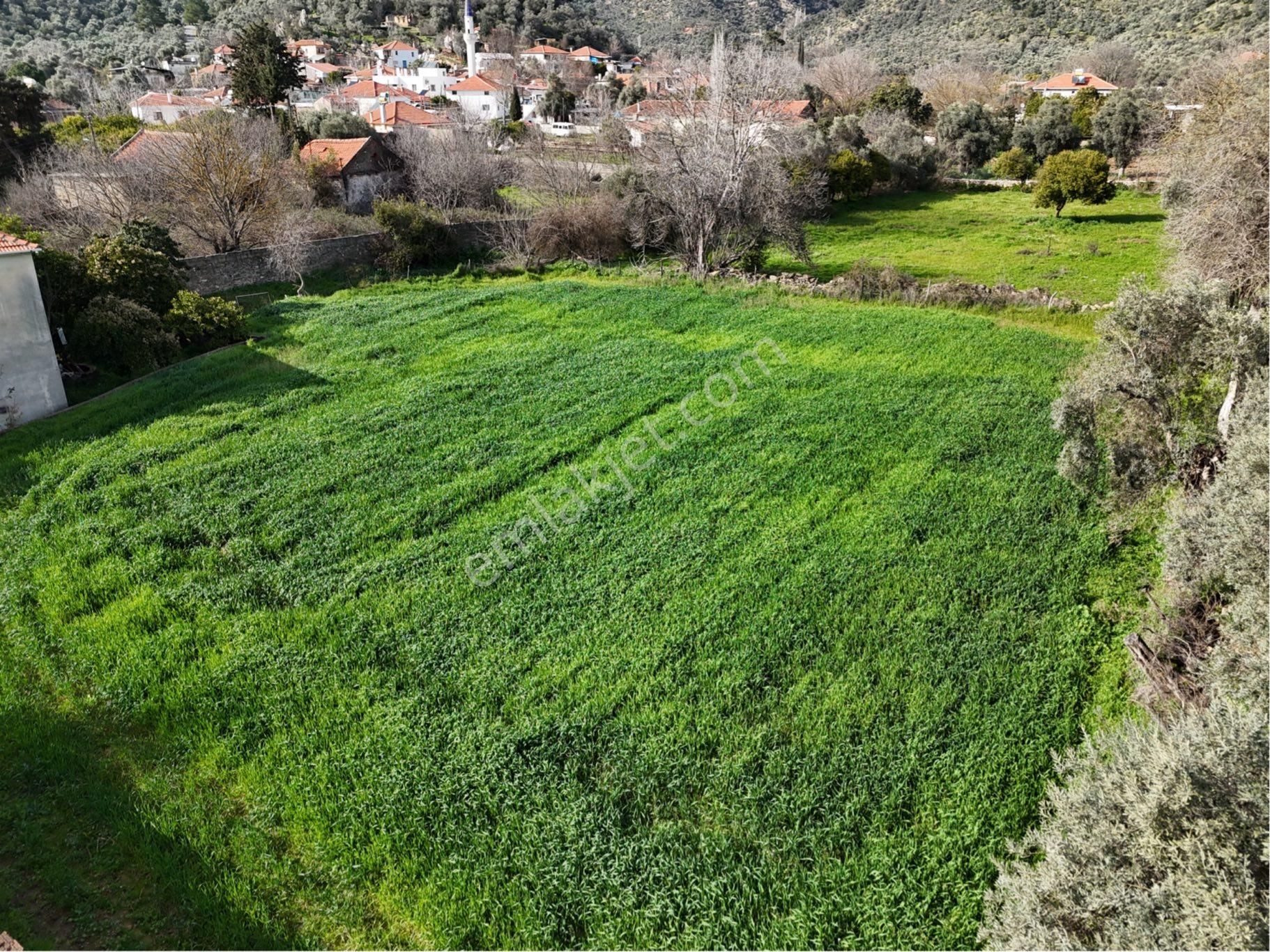 Milas Etrenli Mahallesinde Villa Konut İmarlı Arsa Pehlevanlar'dan - Görsel 15