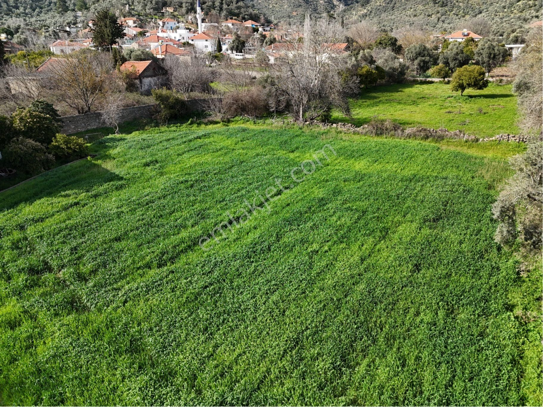 Milas Etrenli Mahallesinde Villa Konut İmarlı Arsa Pehlevanlar'dan - Görsel 12