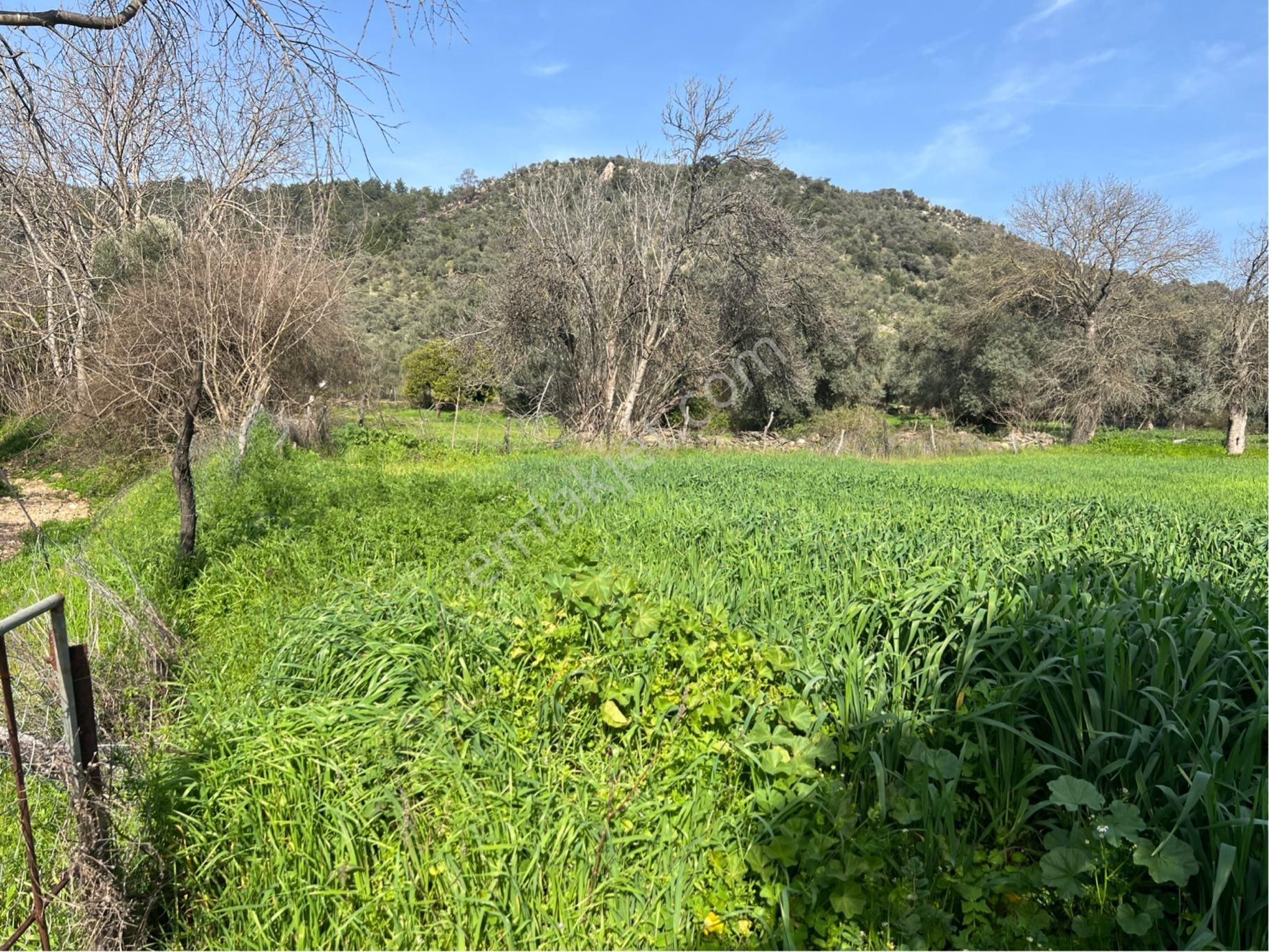 Milas Etrenli Mahallesinde Villa Konut İmarlı Arsa Pehlevanlar'dan - Görsel 6