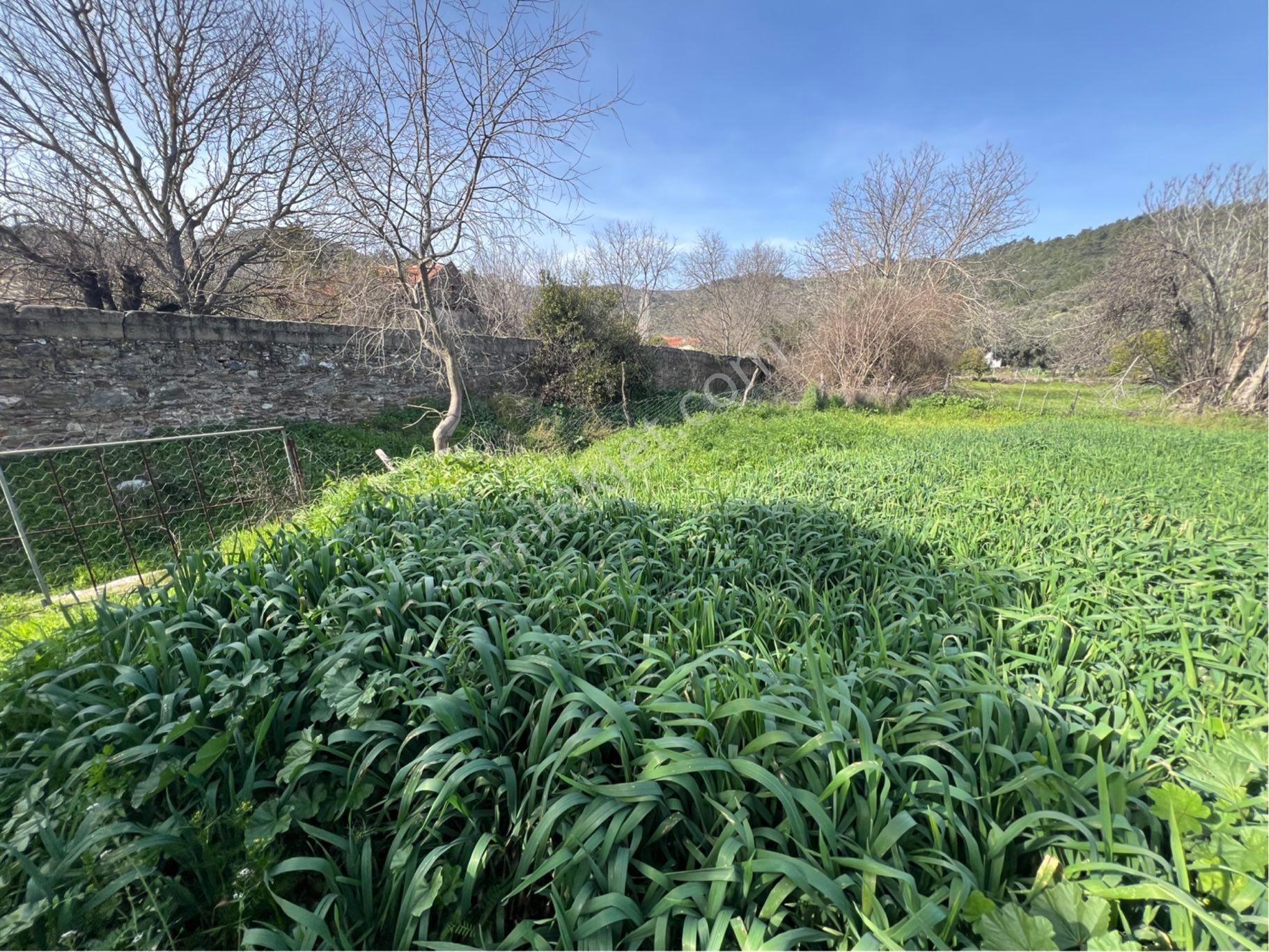 Milas Etrenli Mahallesinde Villa Konut İmarlı Arsa Pehlevanlar'dan - Görsel 7