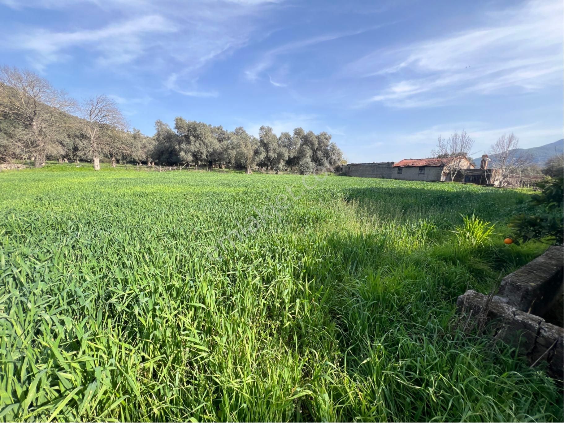 Milas Etrenli Mahallesinde Villa Konut İmarlı Arsa Pehlevanlar'dan - Görsel 3