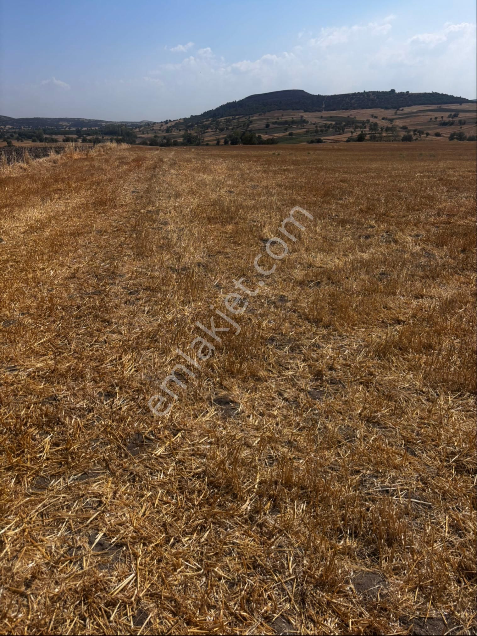 *balcity’den*; 🏞️ *bu Metrekare Bu Fiyata Bir Daha Zor! Balıkesir’de Kaçırılmayacak Fırsat!*