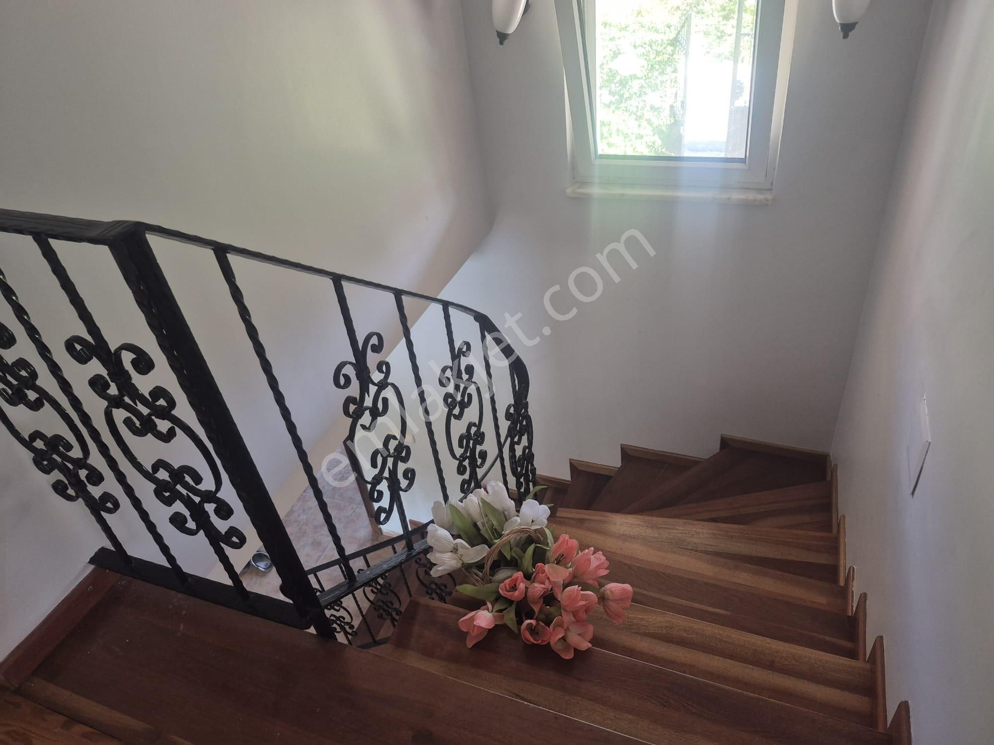 Remax Necati Kurt / Çatalca Yalıköy (podima)'da Havuzlu Villa - Görsel 15