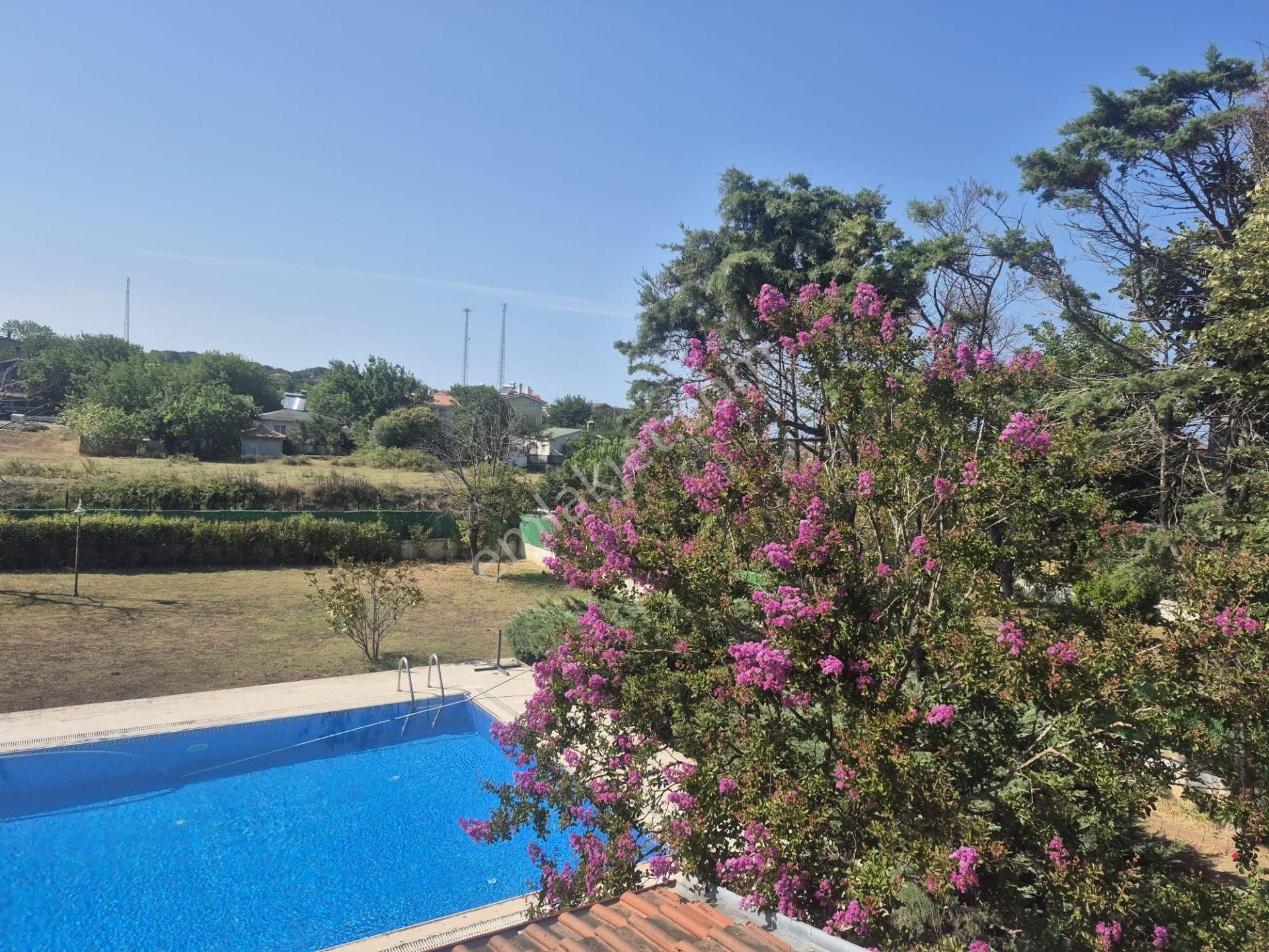 Remax Necati Kurt / Çatalca Yalıköy (podima)'da Havuzlu Villa - Görsel 24