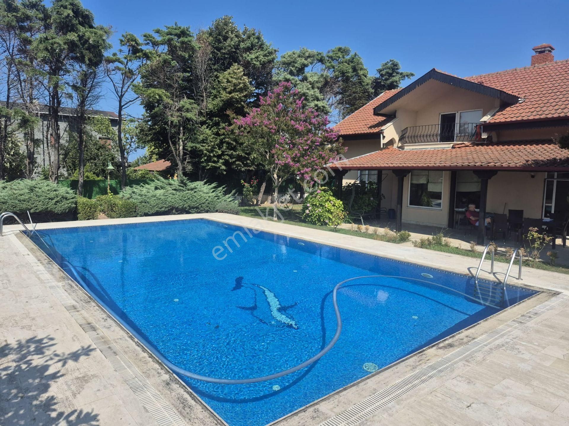 Remax Necati Kurt / Çatalca Yalıköy (podima)'da Havuzlu Villa - Görsel 2