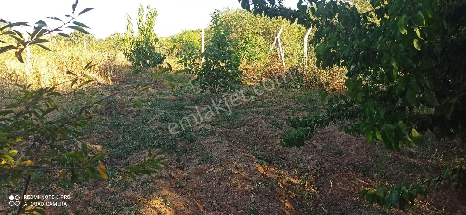 Sızma Fevziçakmak Mah.mollabağları Mevkii 575 M2 Bağ - Görsel 18