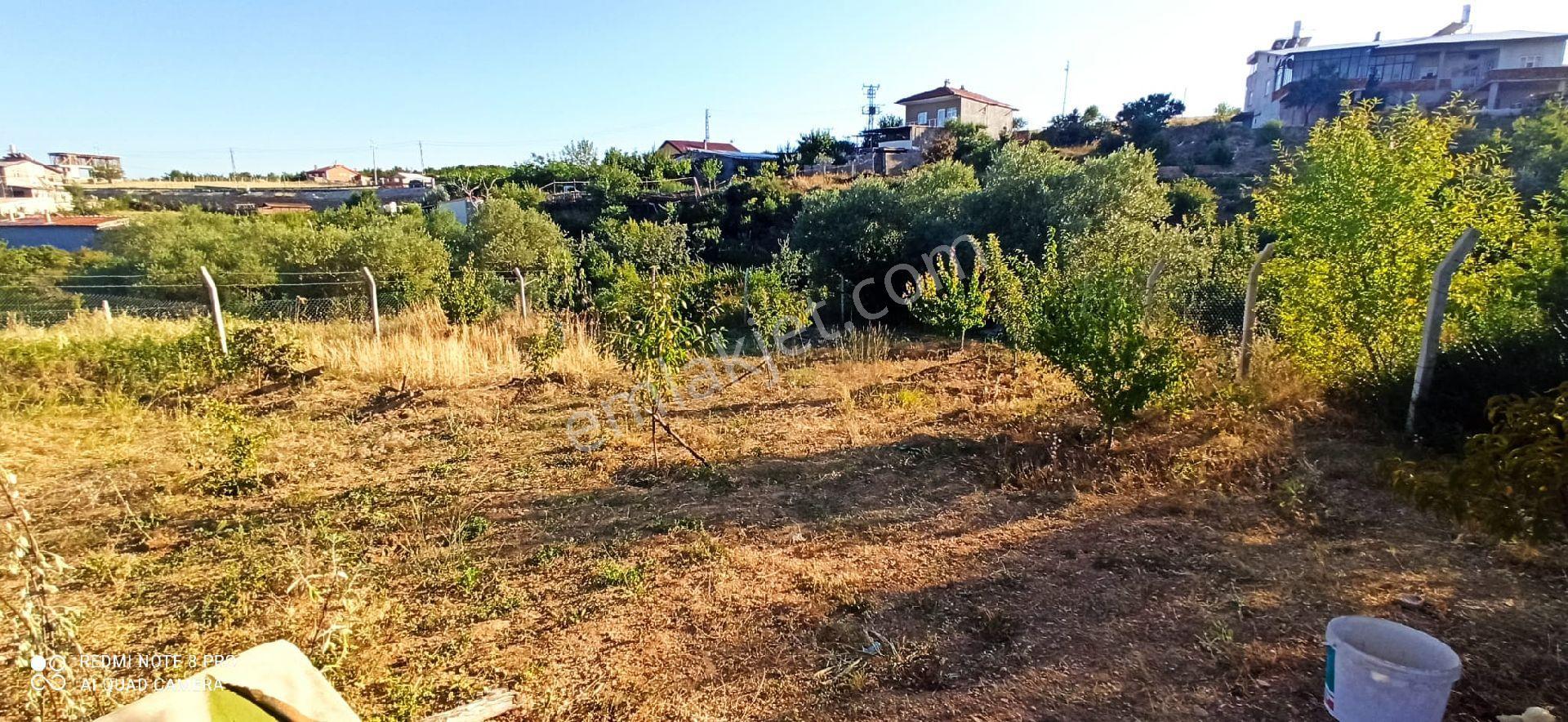 Sızma Fevziçakmak Mah.mollabağları Mevkii 575 M2 Bağ - Görsel 20